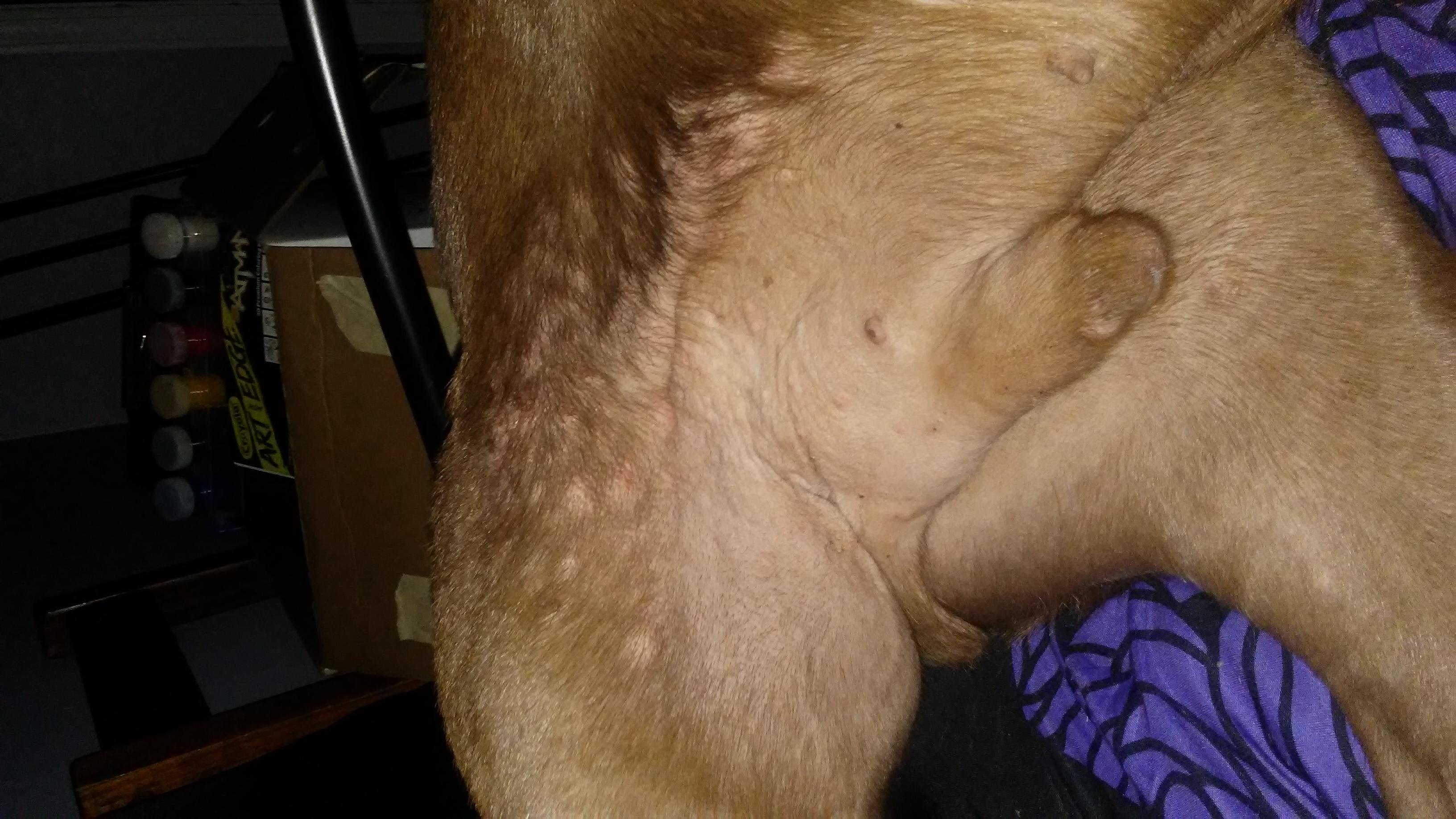 Question details sensitive content