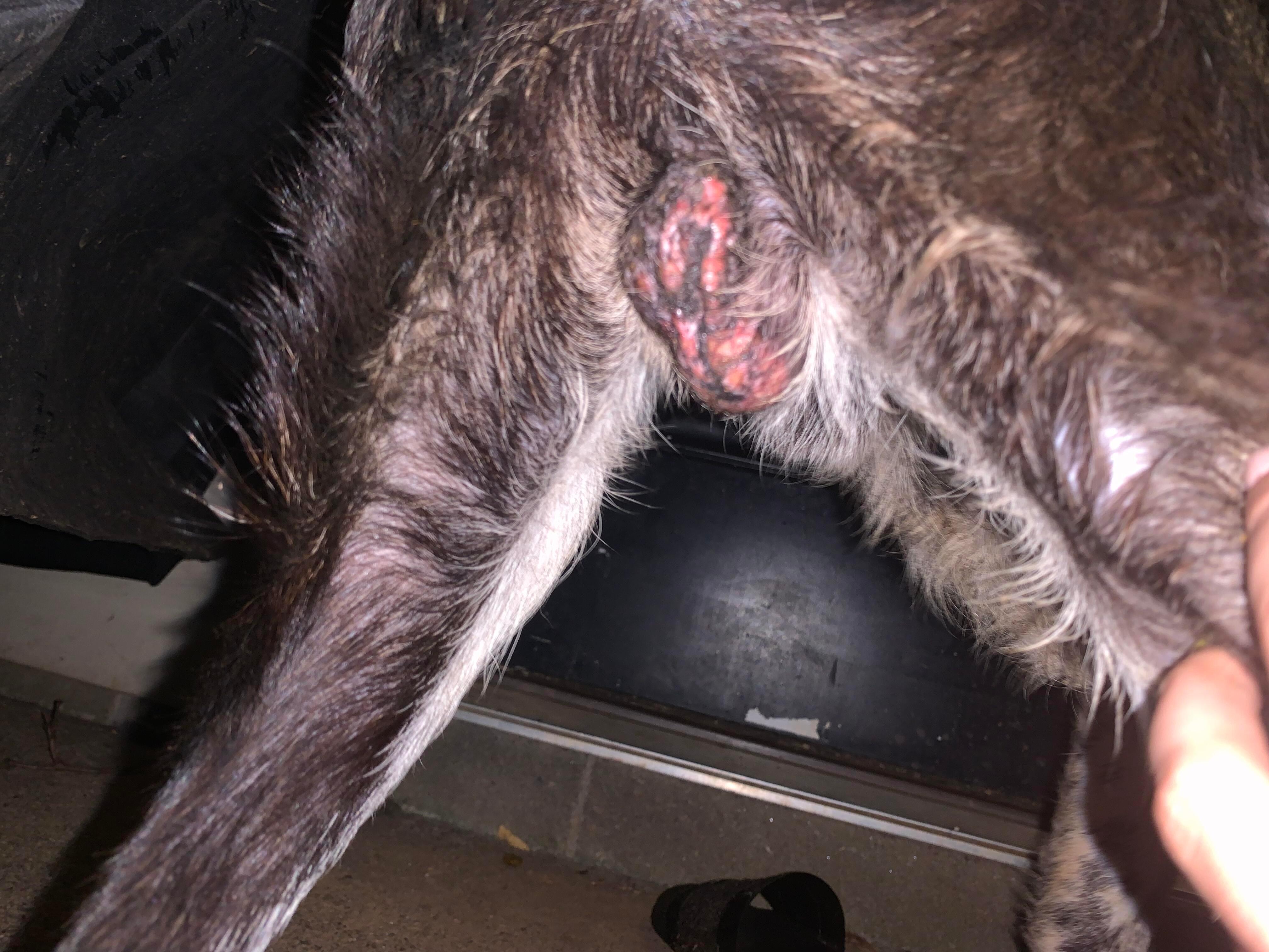 Question details sensitive content