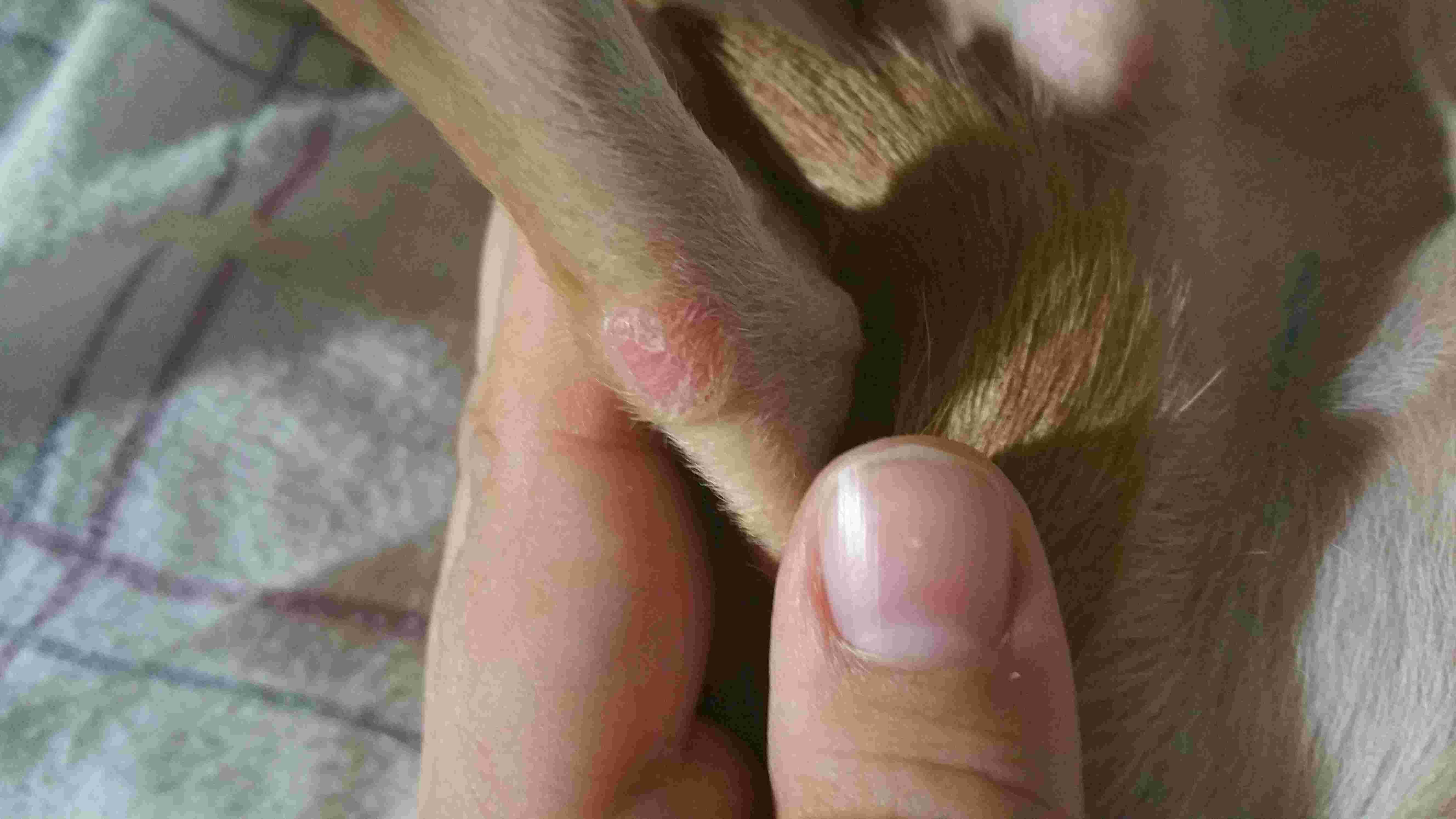 Question details sensitive content