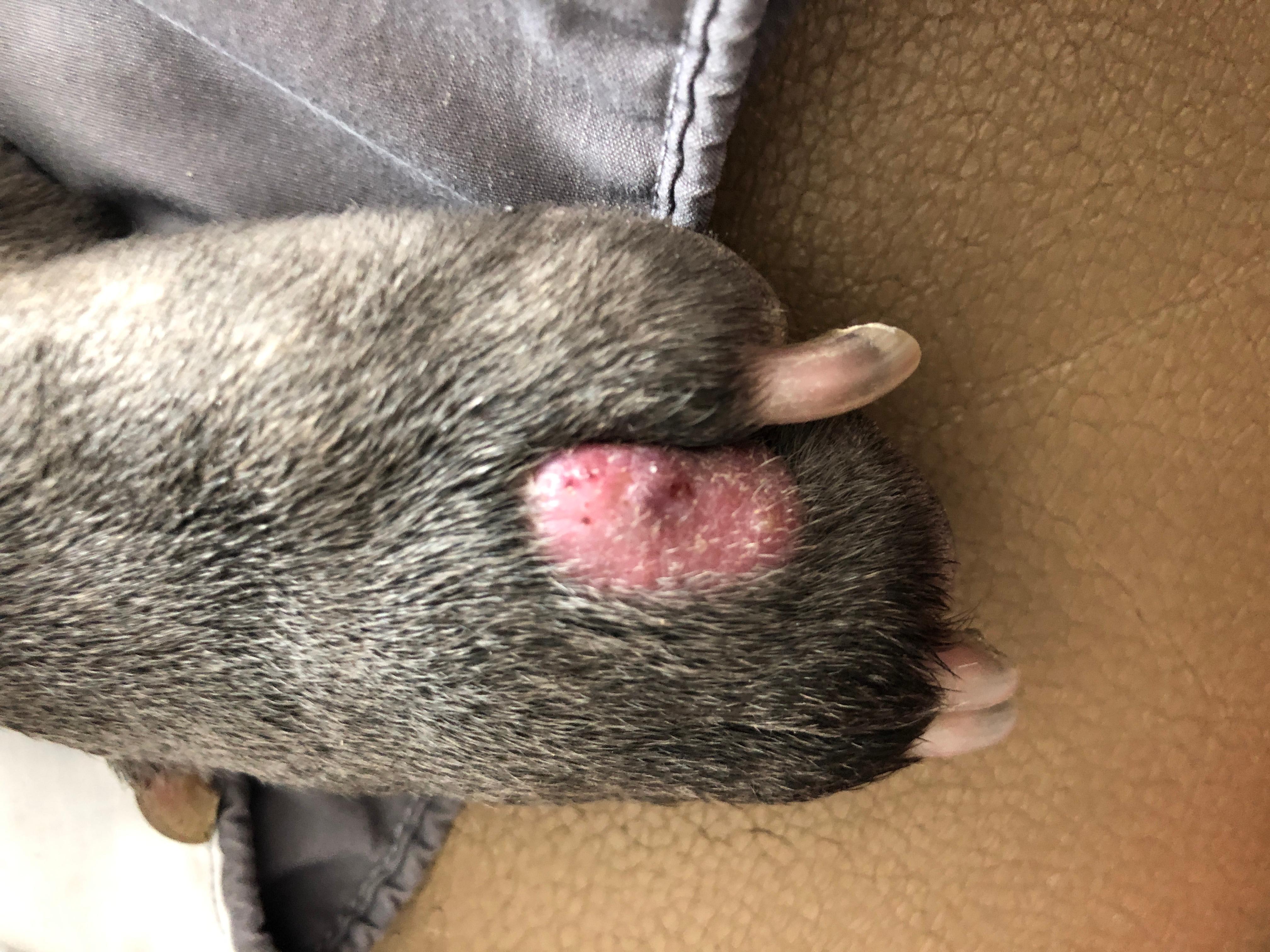 Question details sensitive content