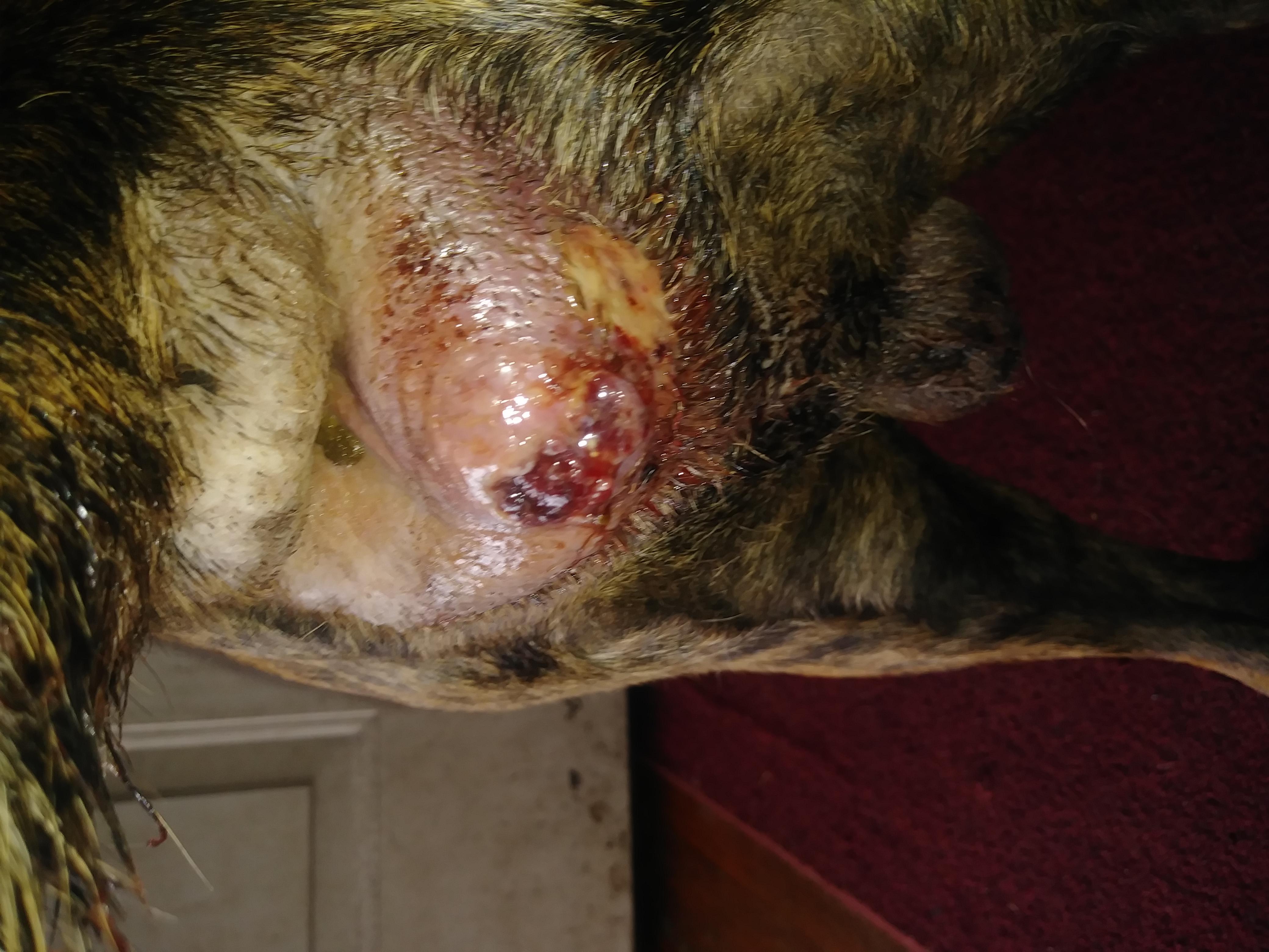 Question details sensitive content