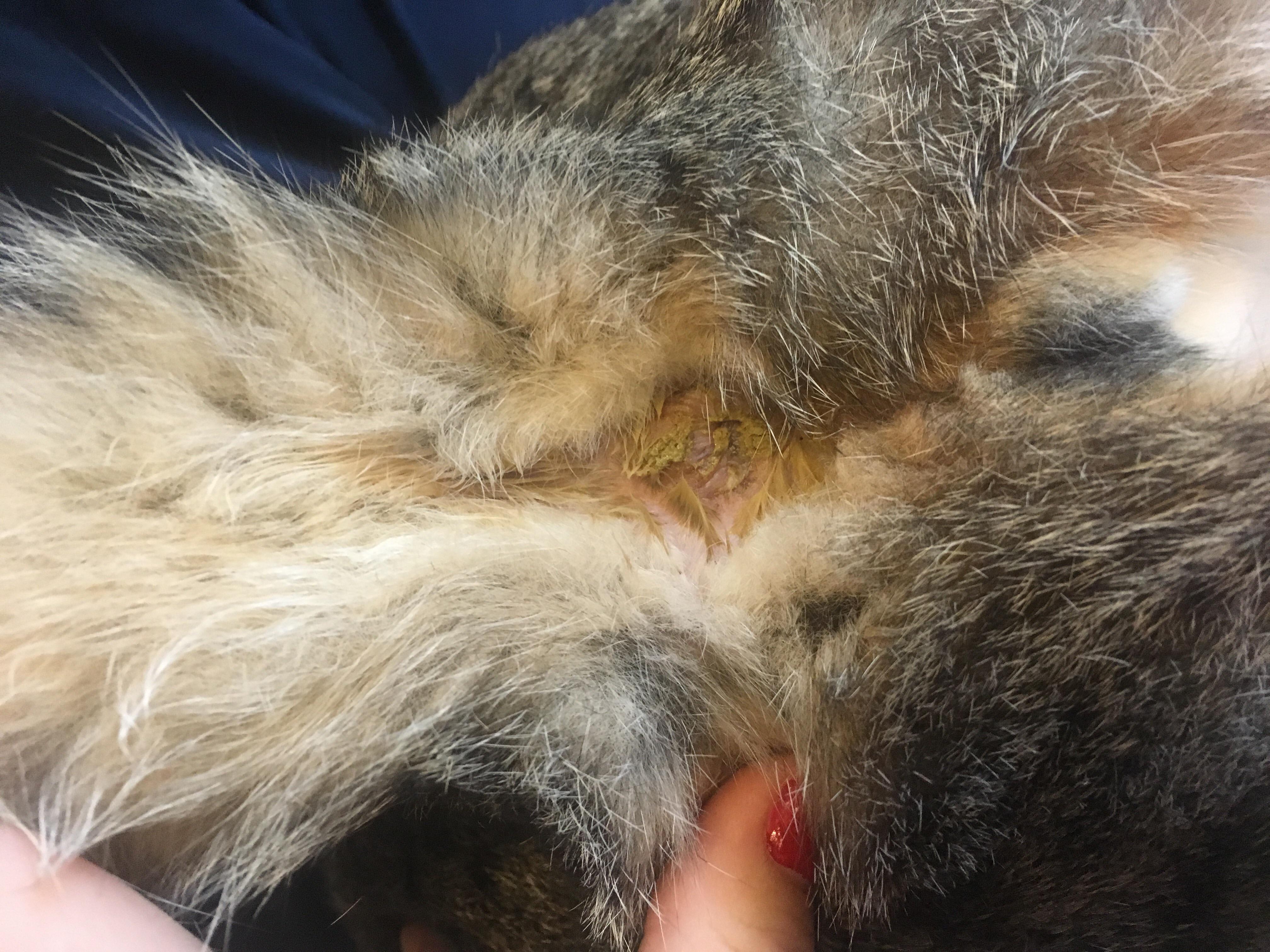 Question details sensitive content