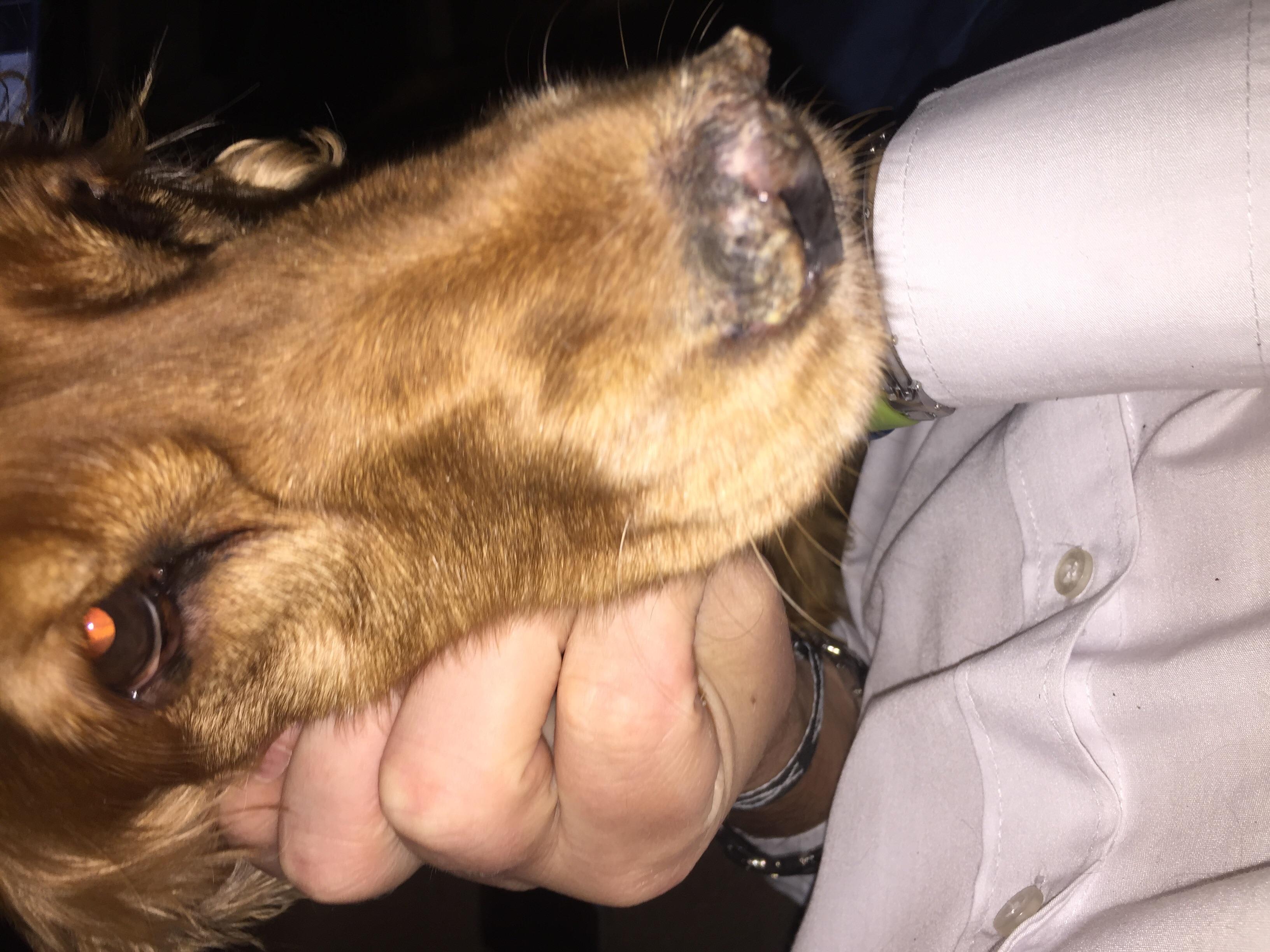 Question details sensitive content