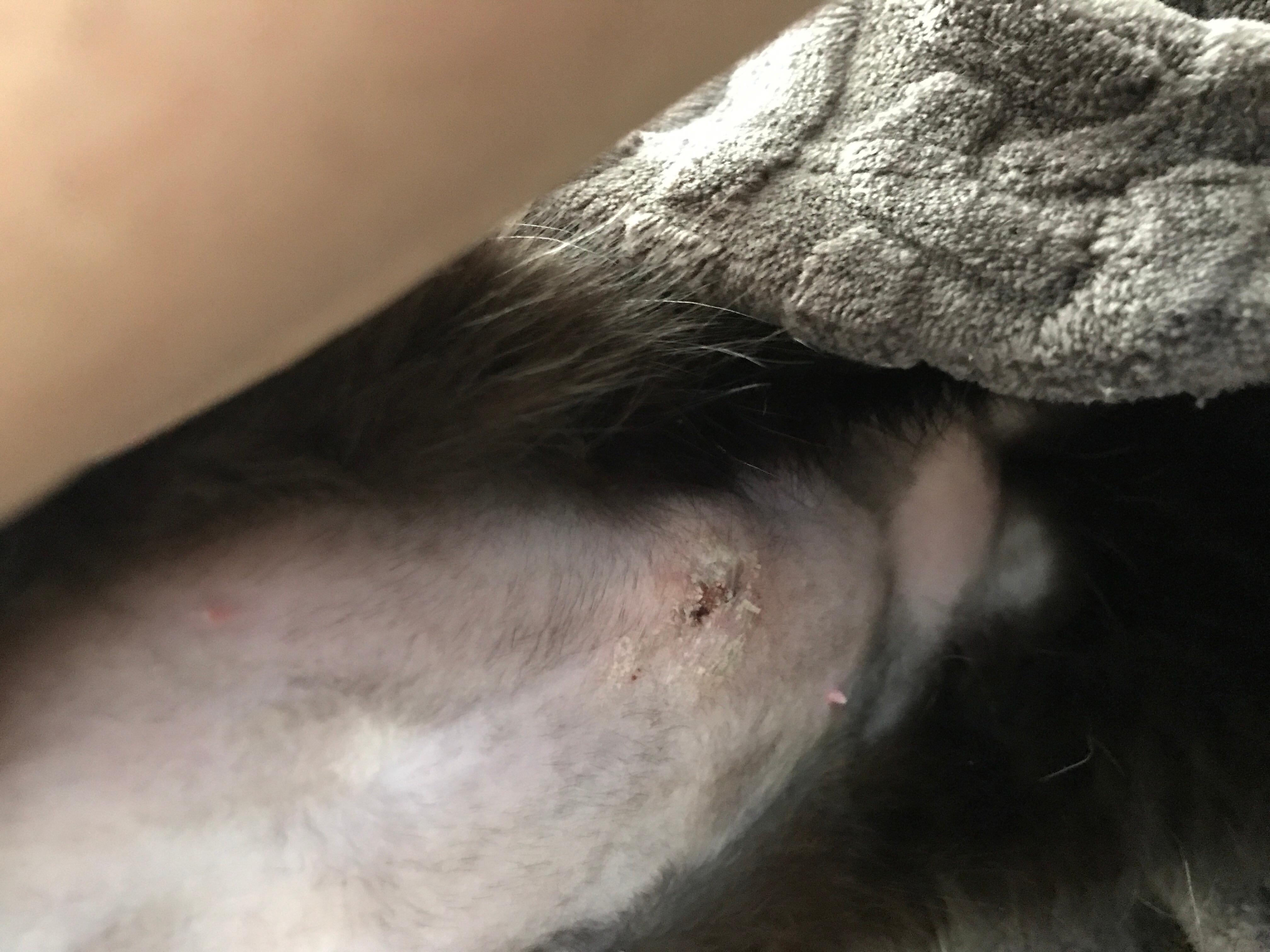 Question details sensitive content