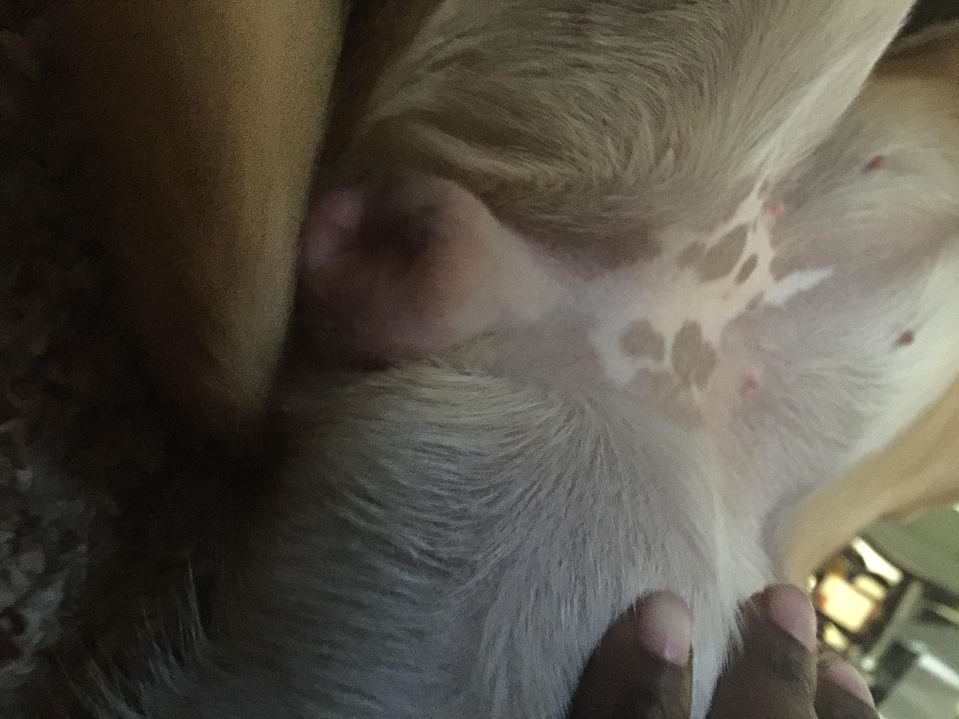 Question details sensitive content