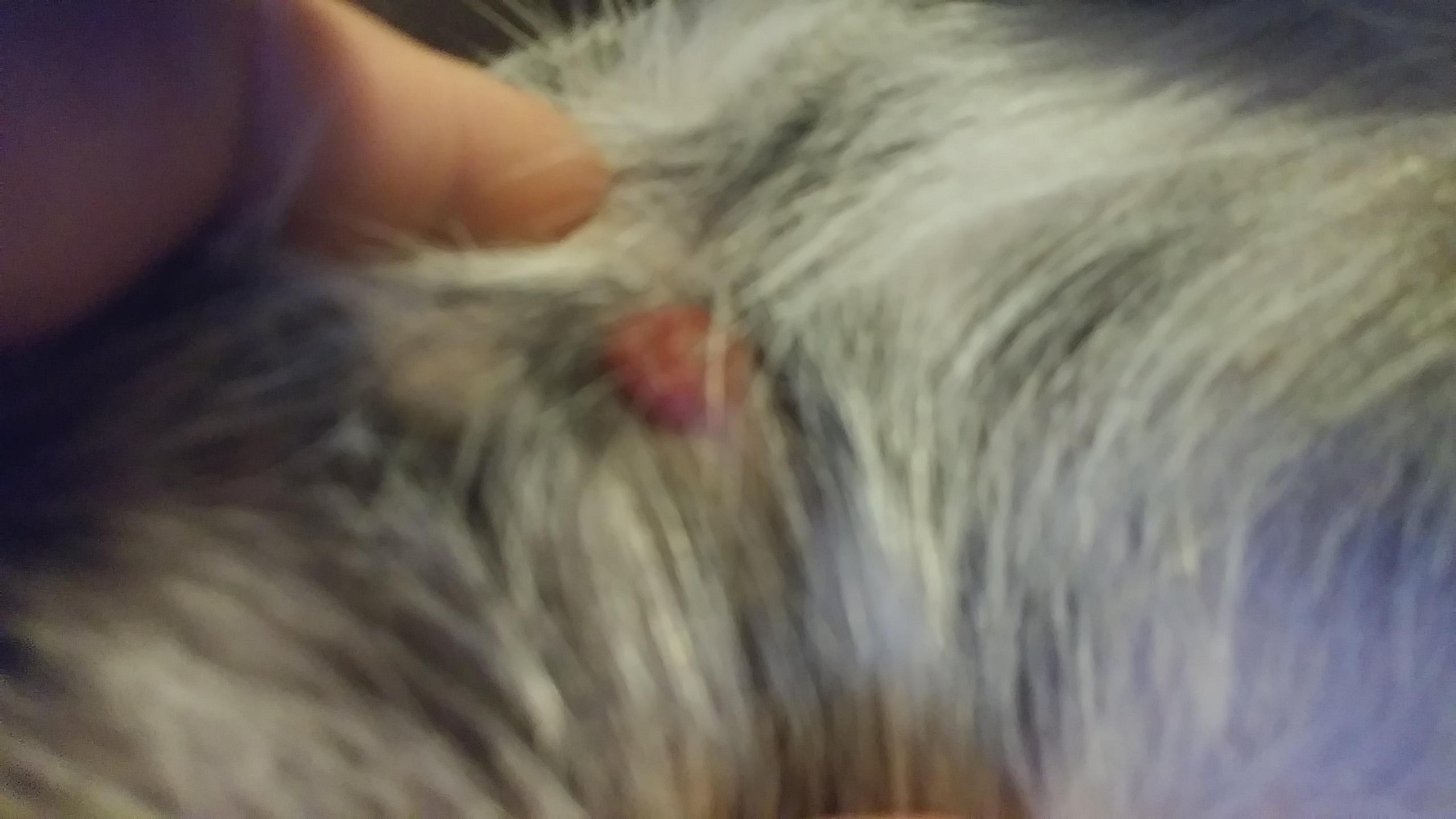 Question details sensitive content