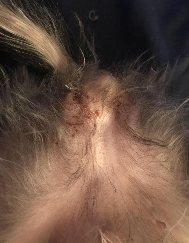 Question details sensitive content