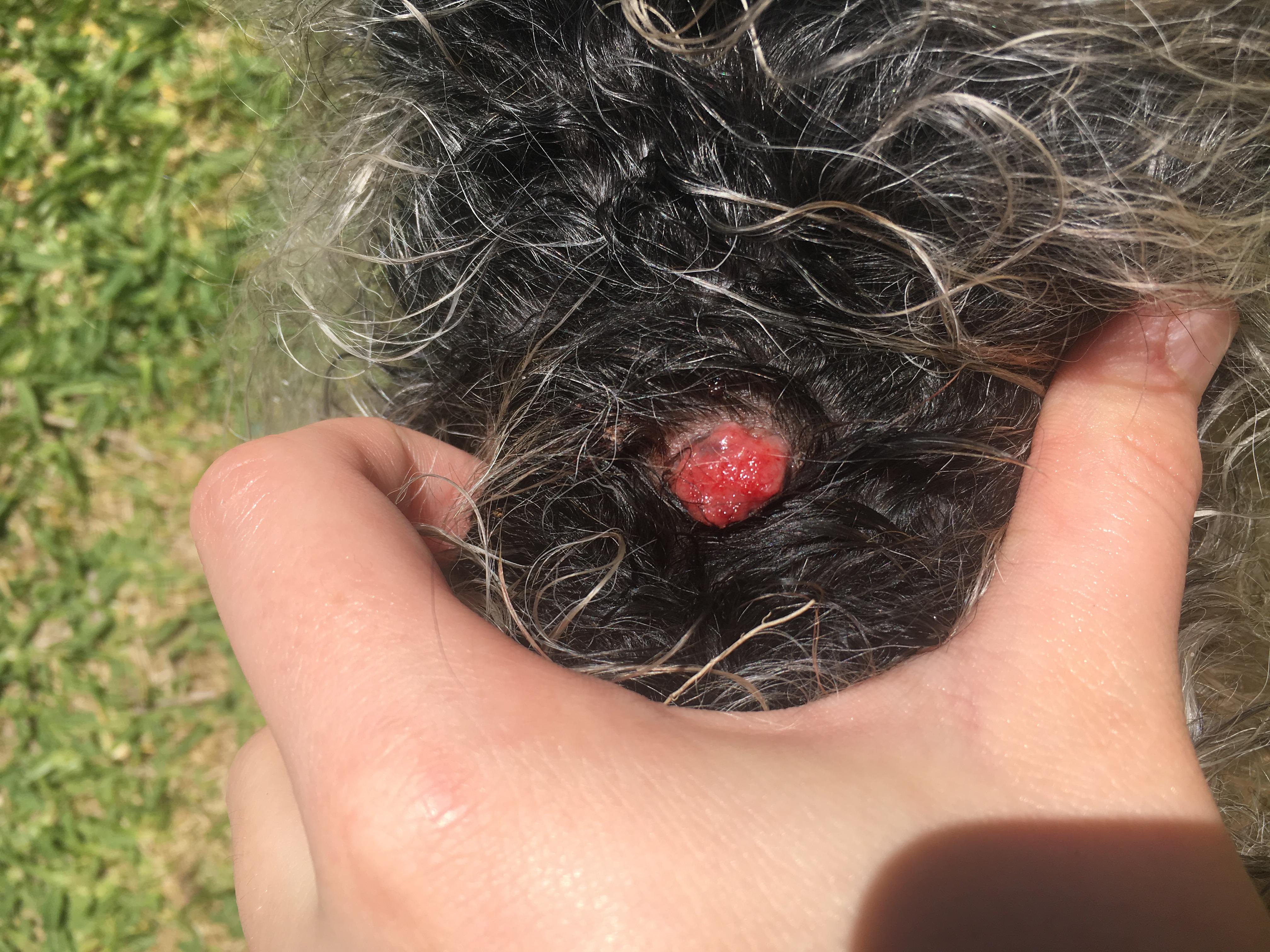 Question details sensitive content