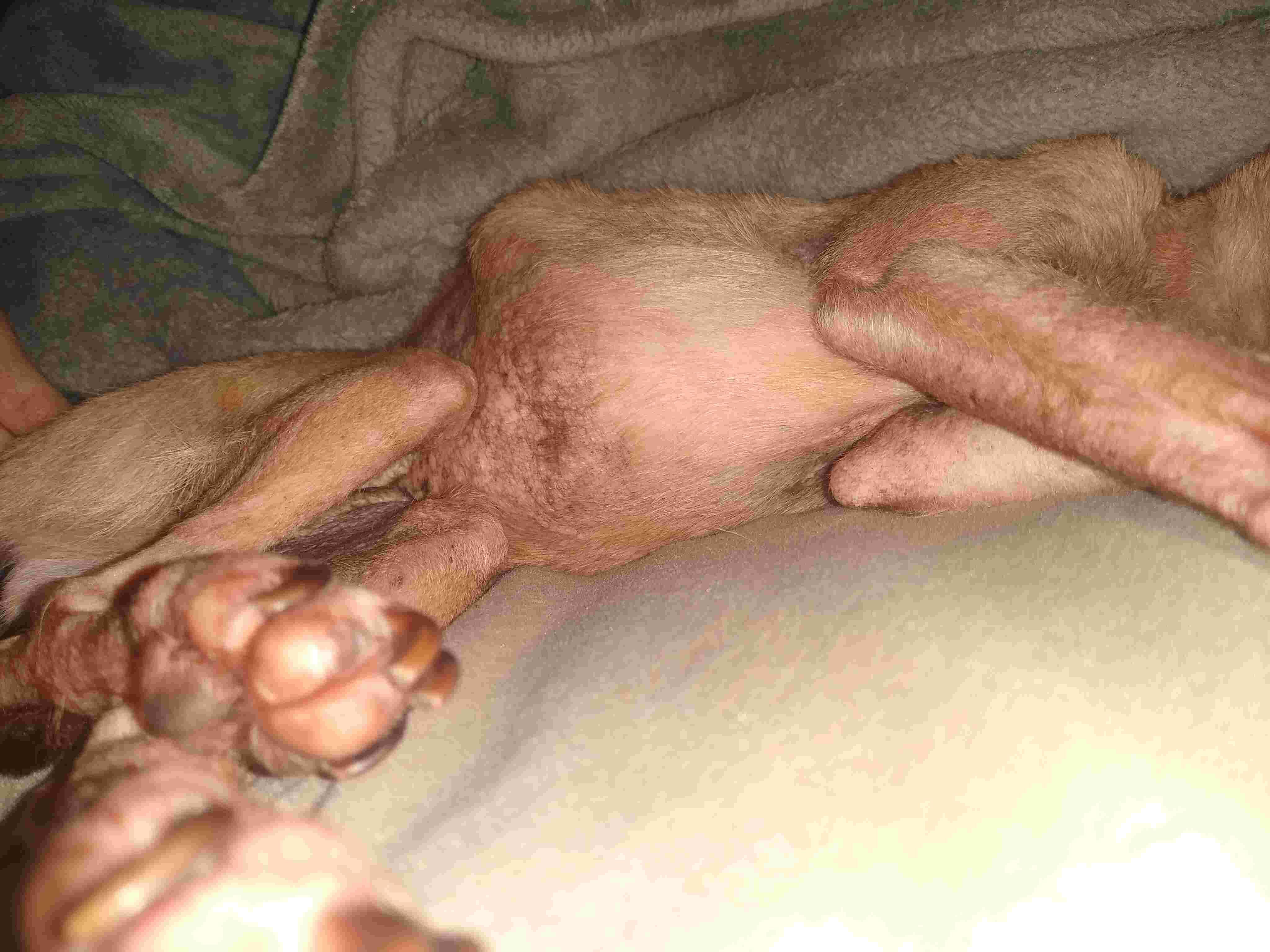 Question details sensitive content