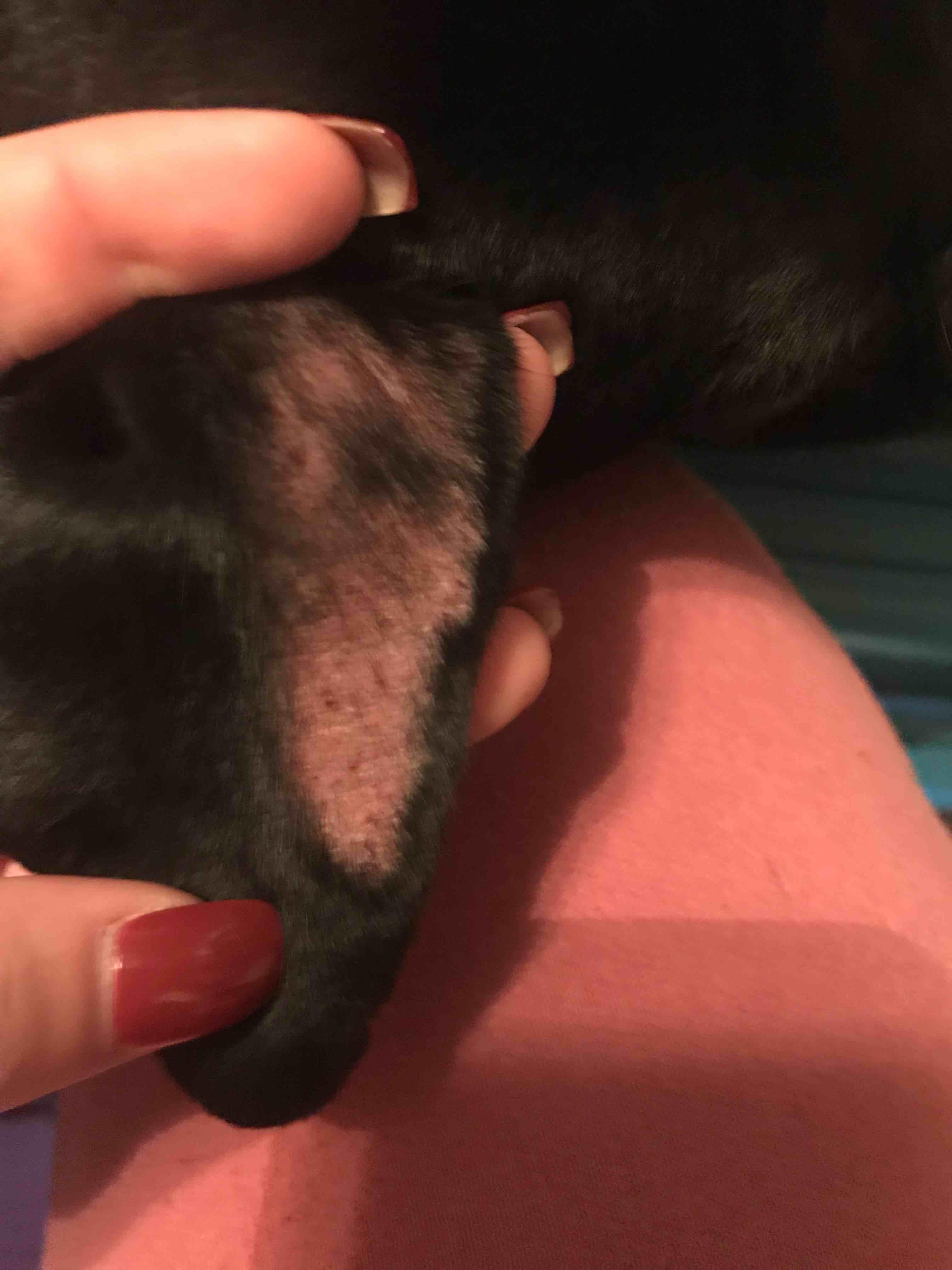 Question details sensitive content