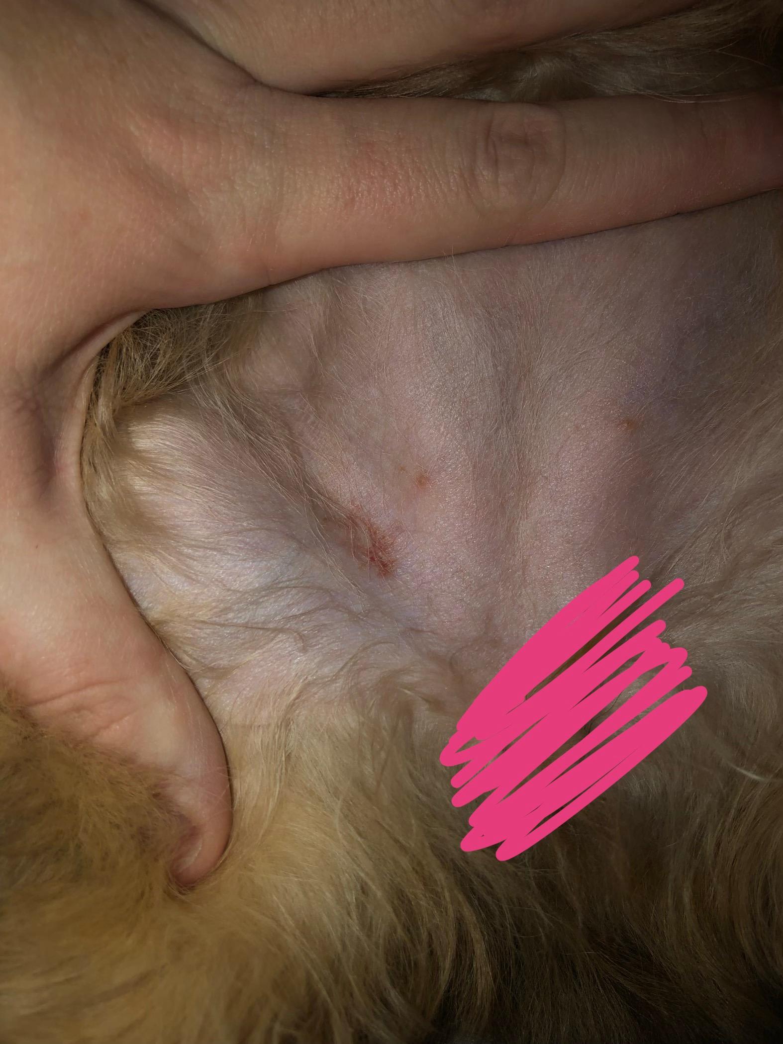 Question details sensitive content