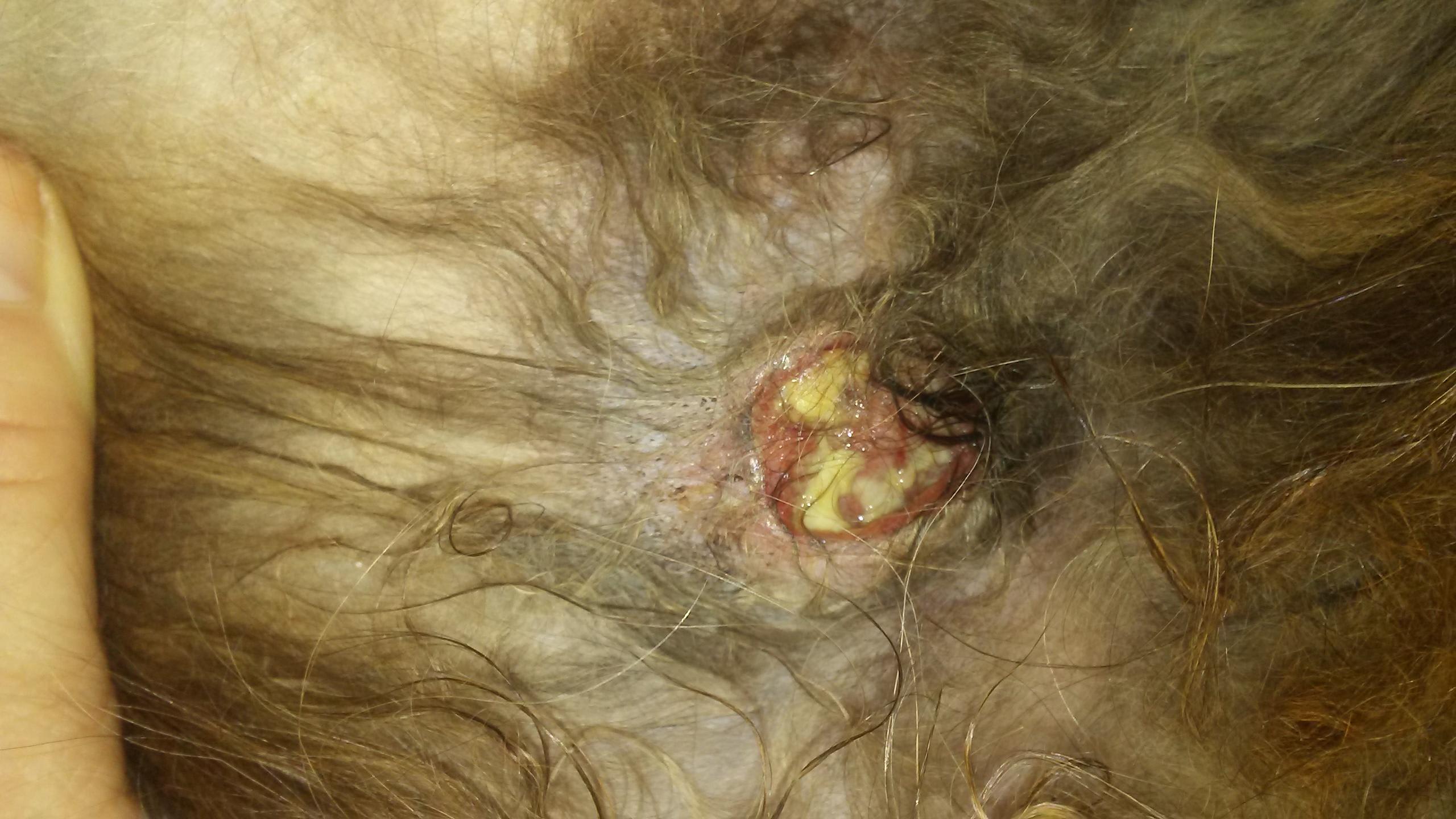 Question details sensitive content