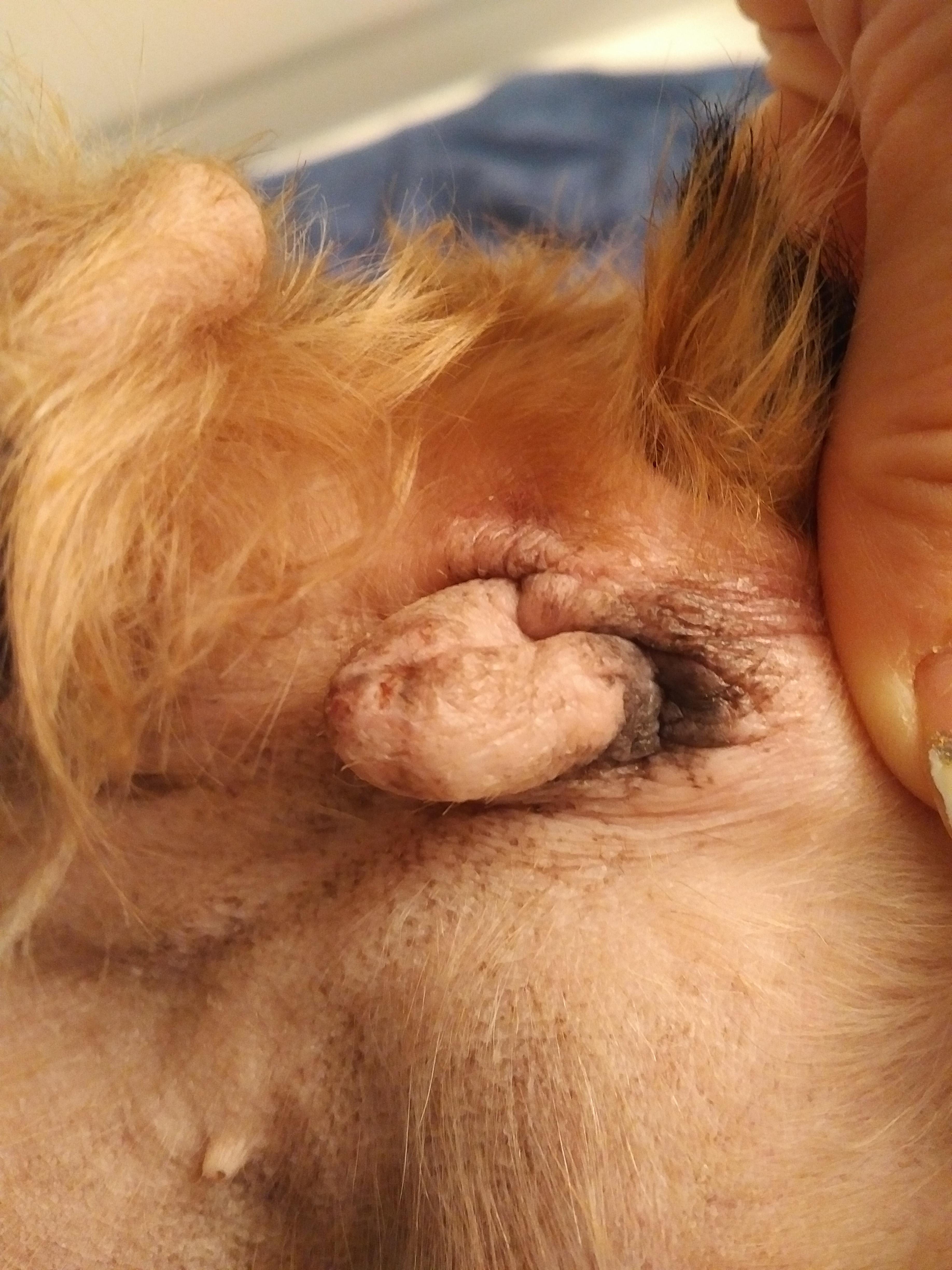 Question details sensitive content