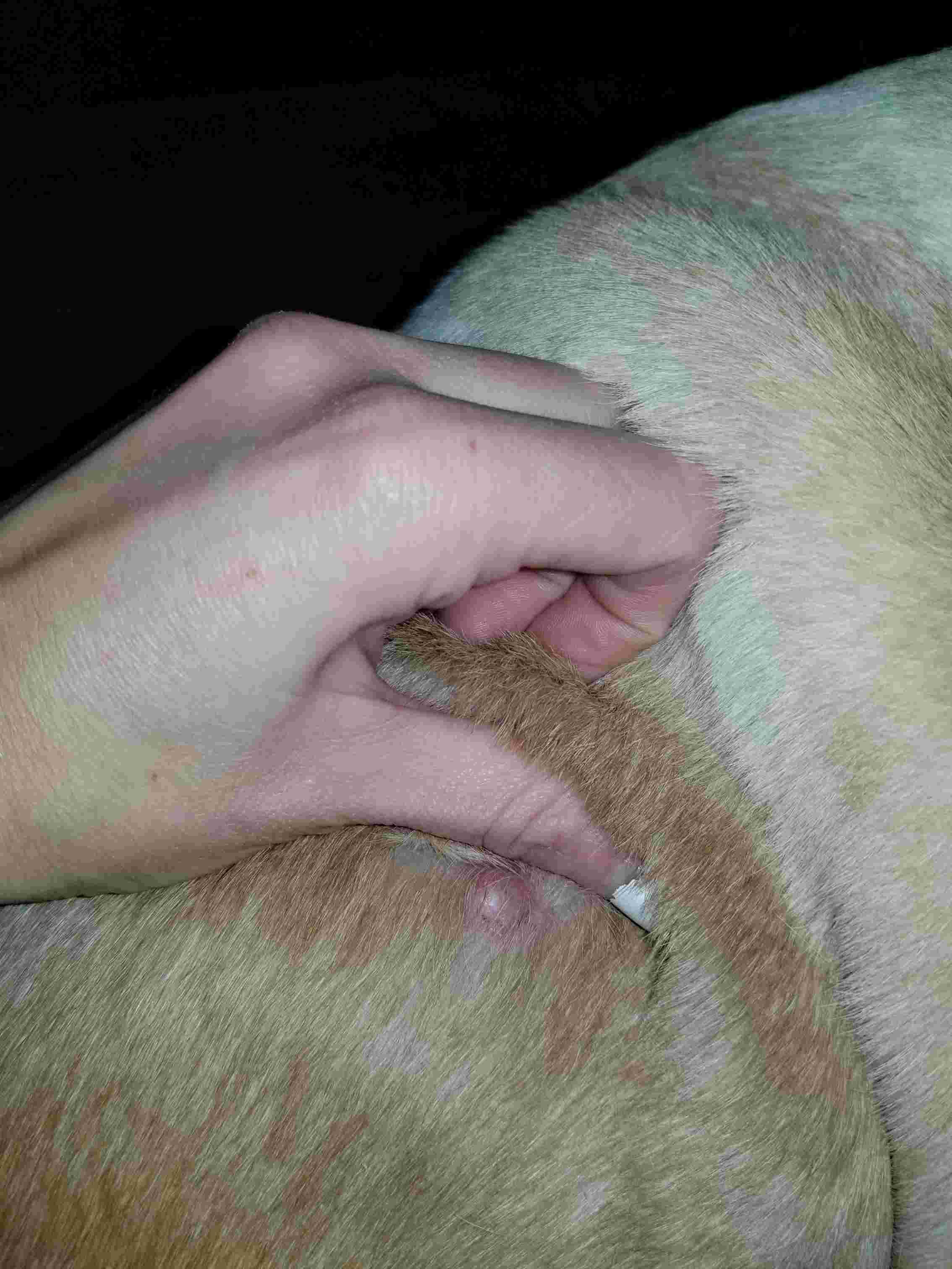 Question details sensitive content