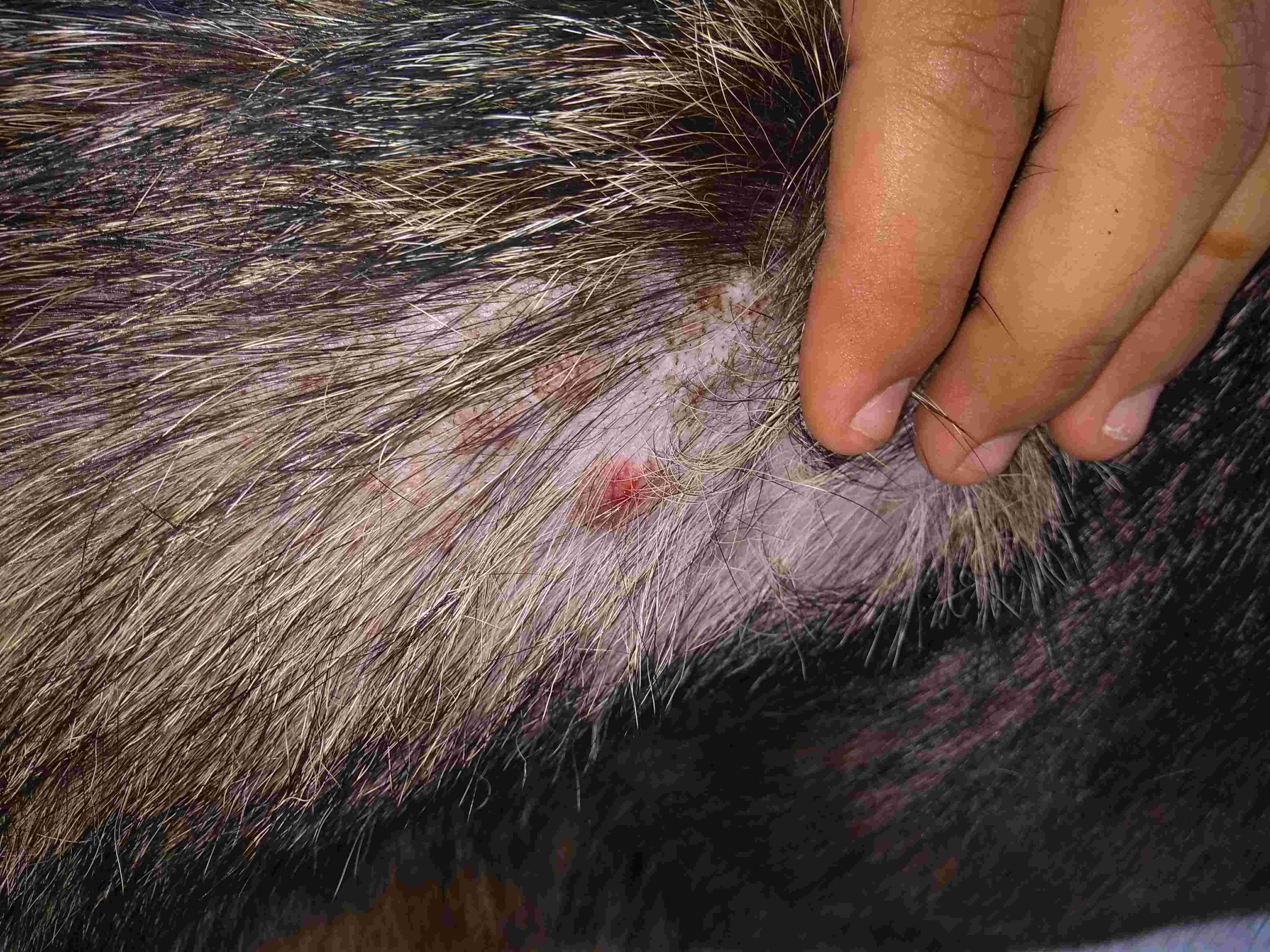 Question details sensitive content