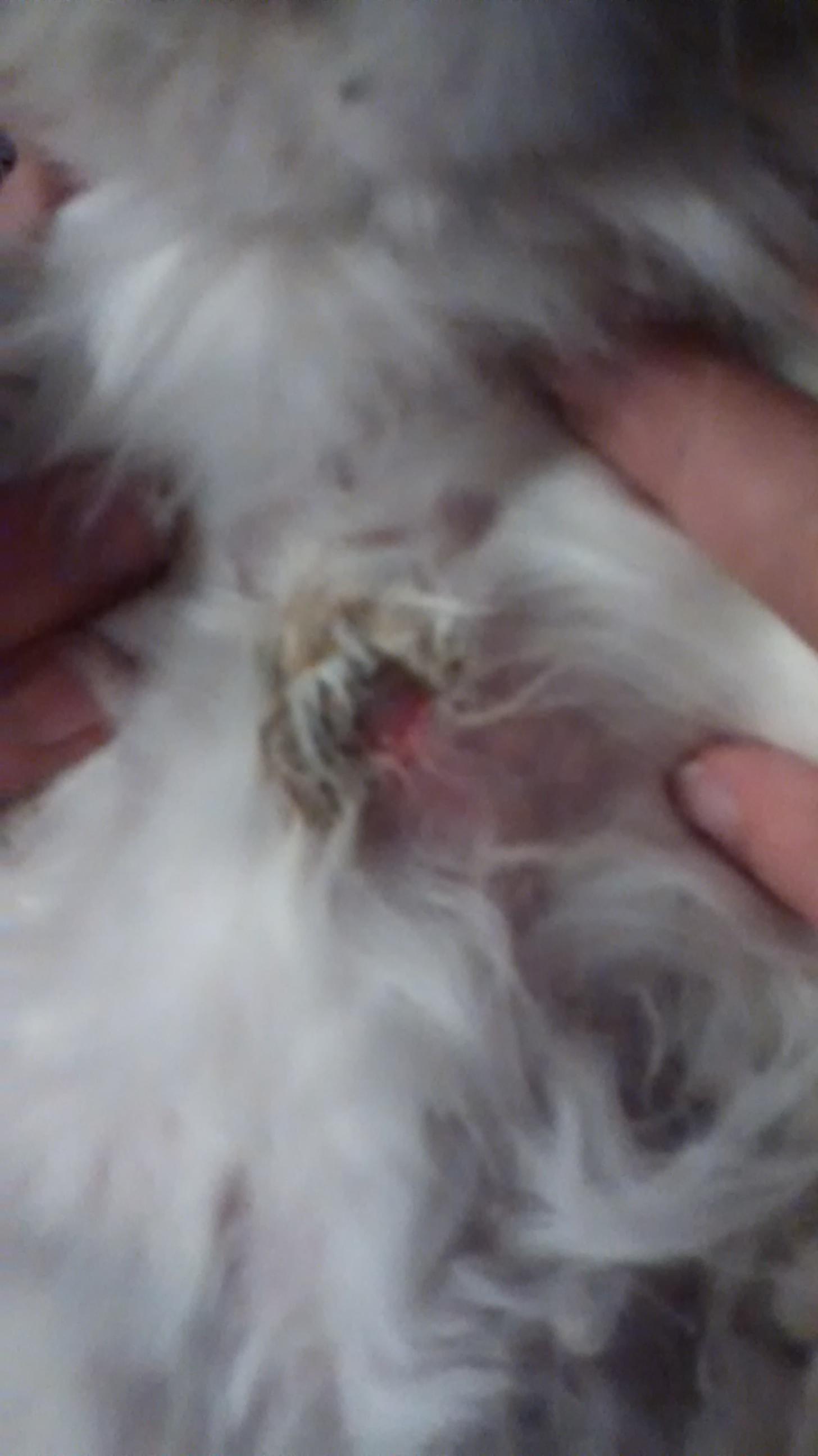 Question details sensitive content