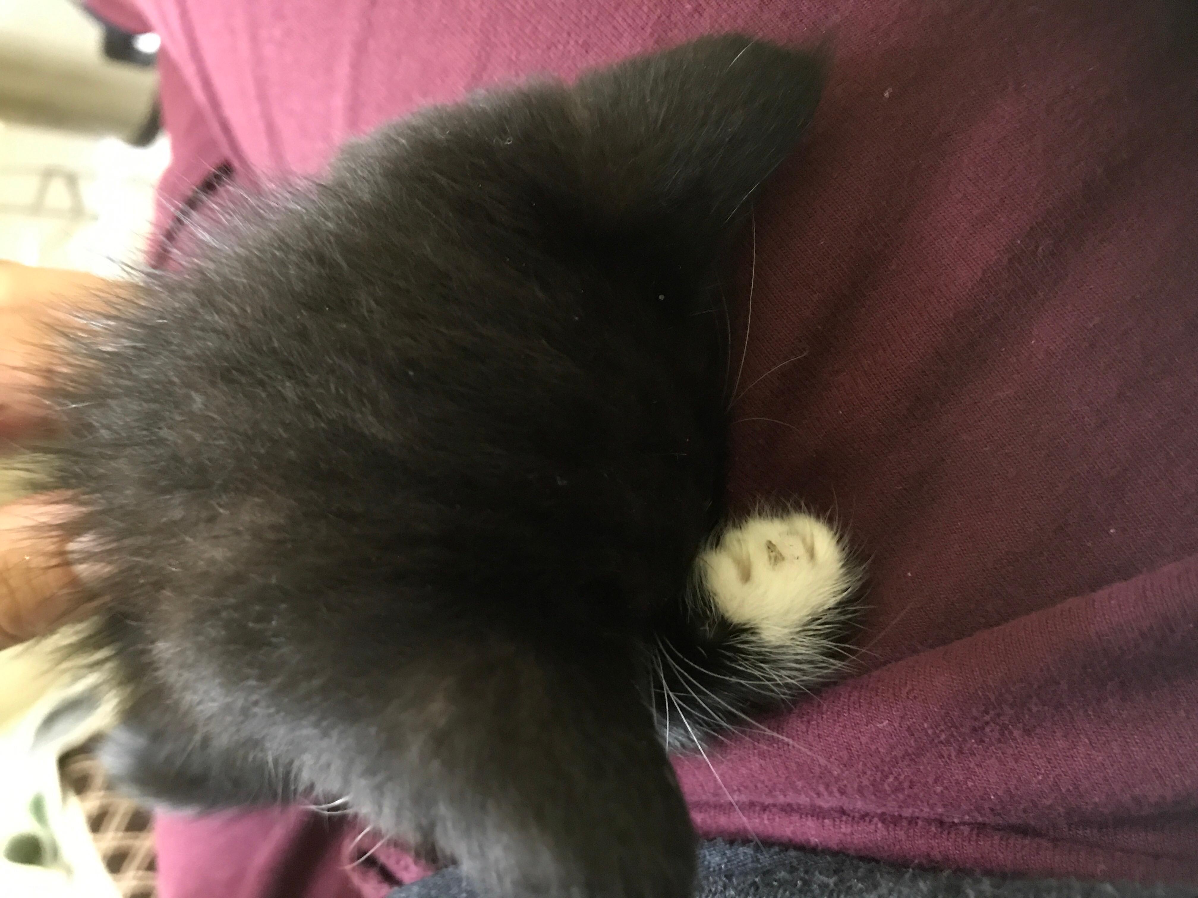 Question details sensitive content