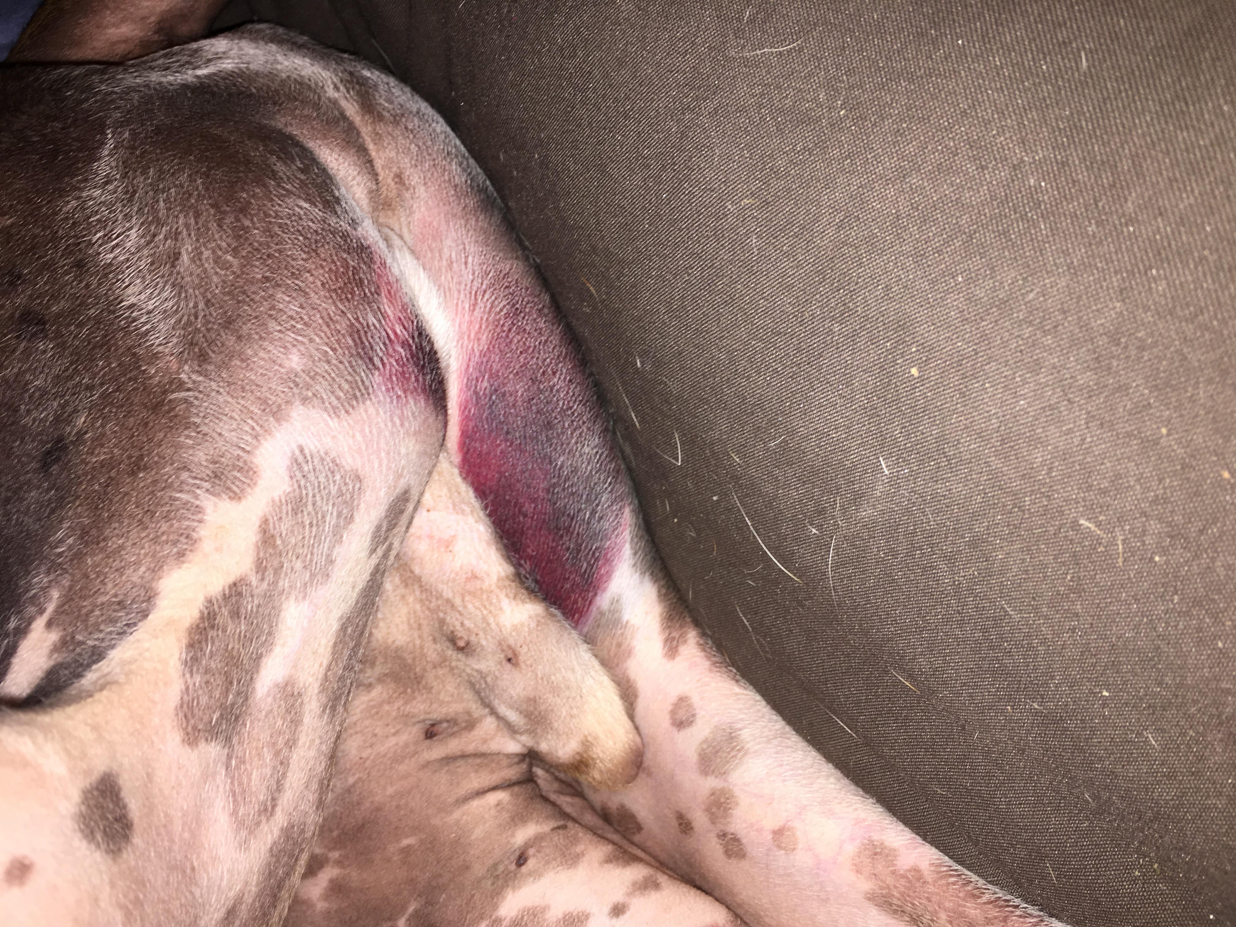 Question details sensitive content