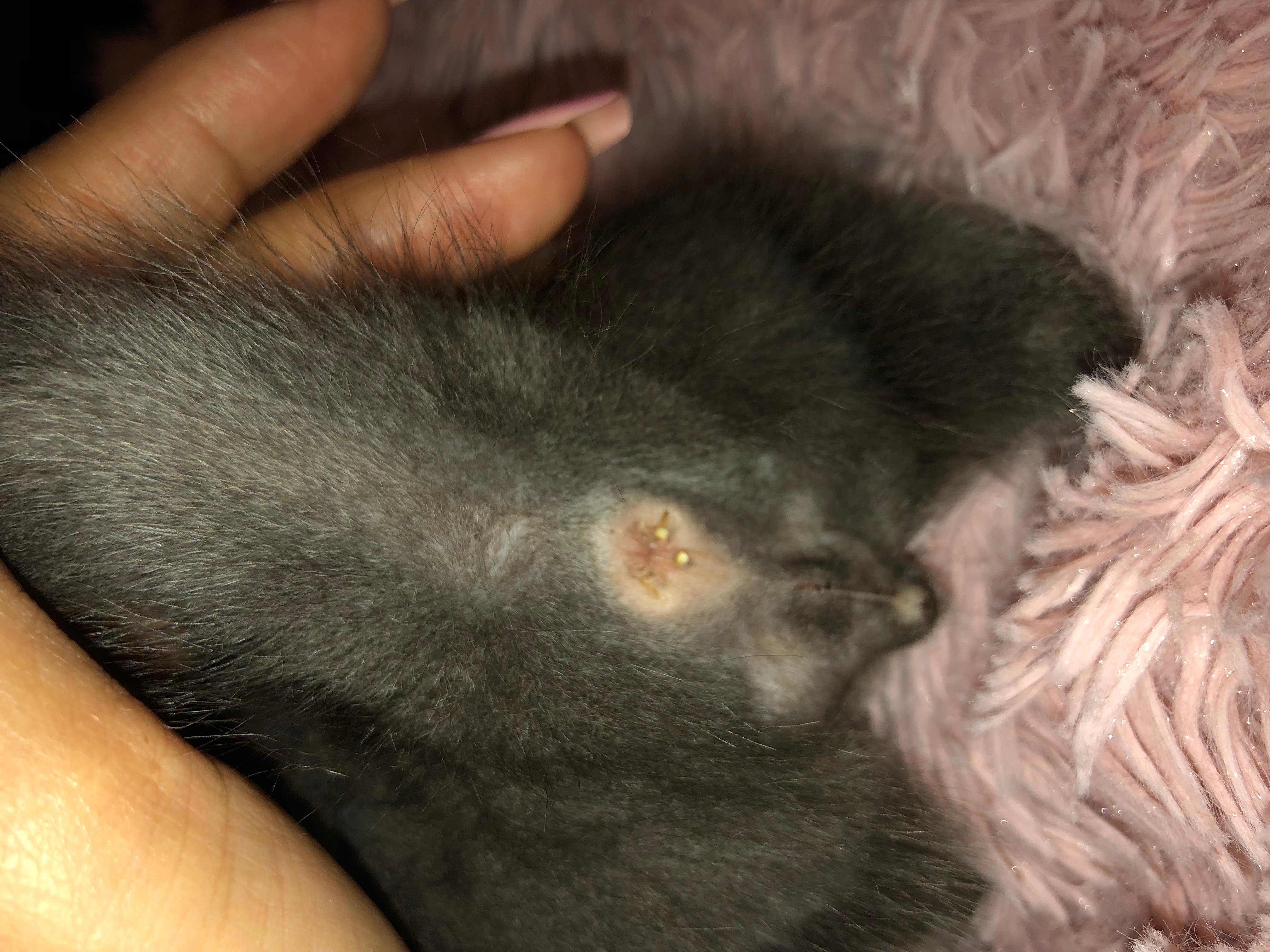 Question details sensitive content