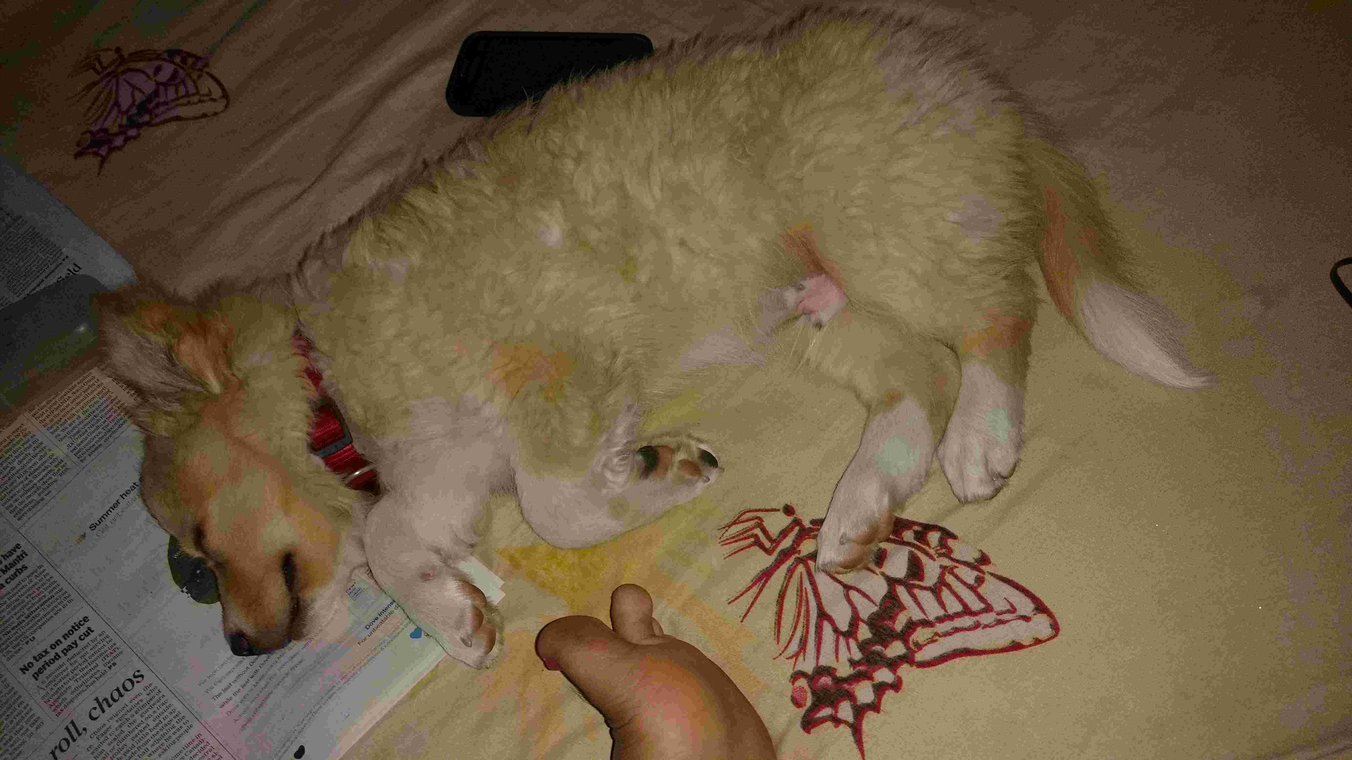 Question details sensitive content