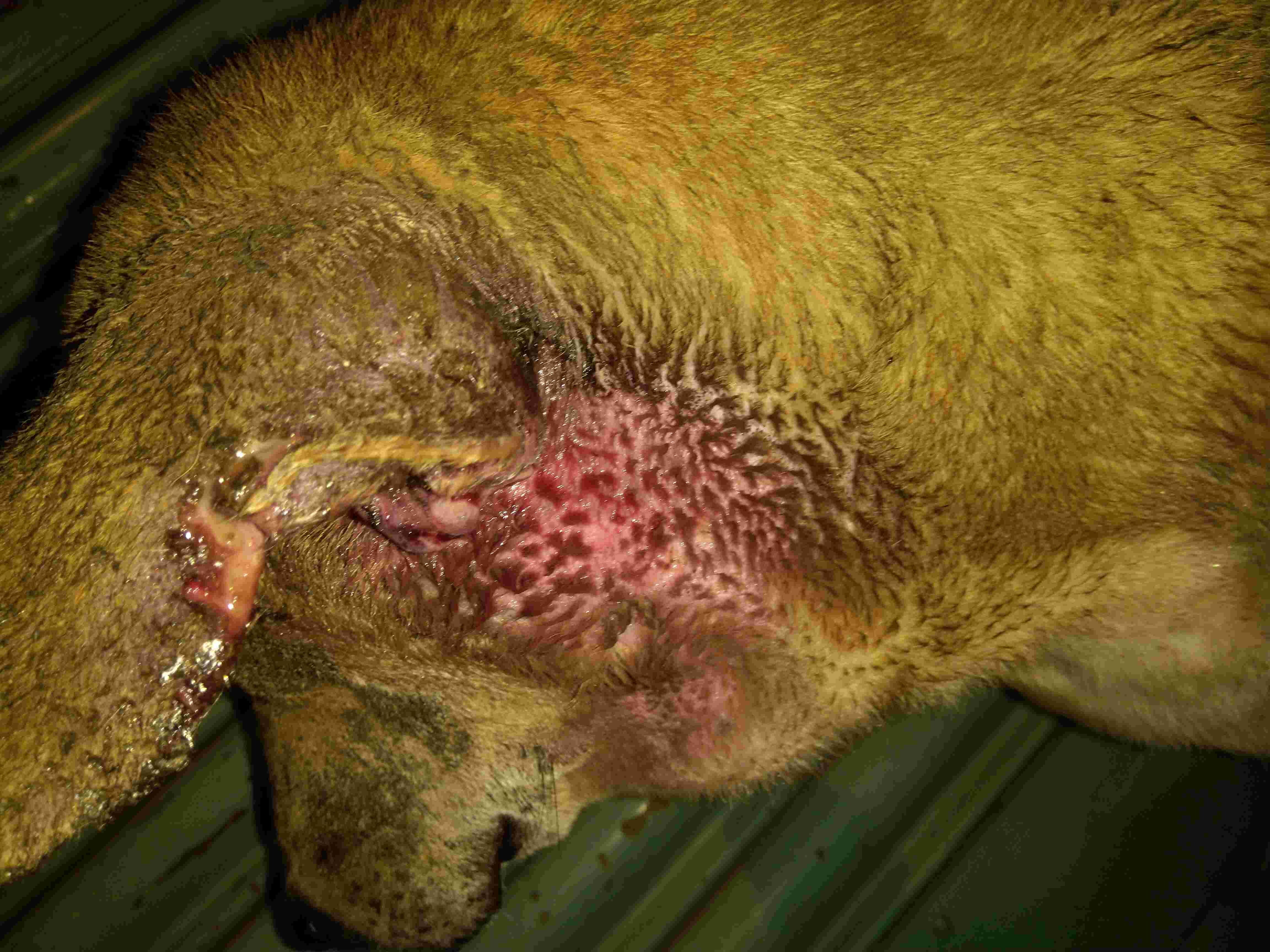 Question details sensitive content