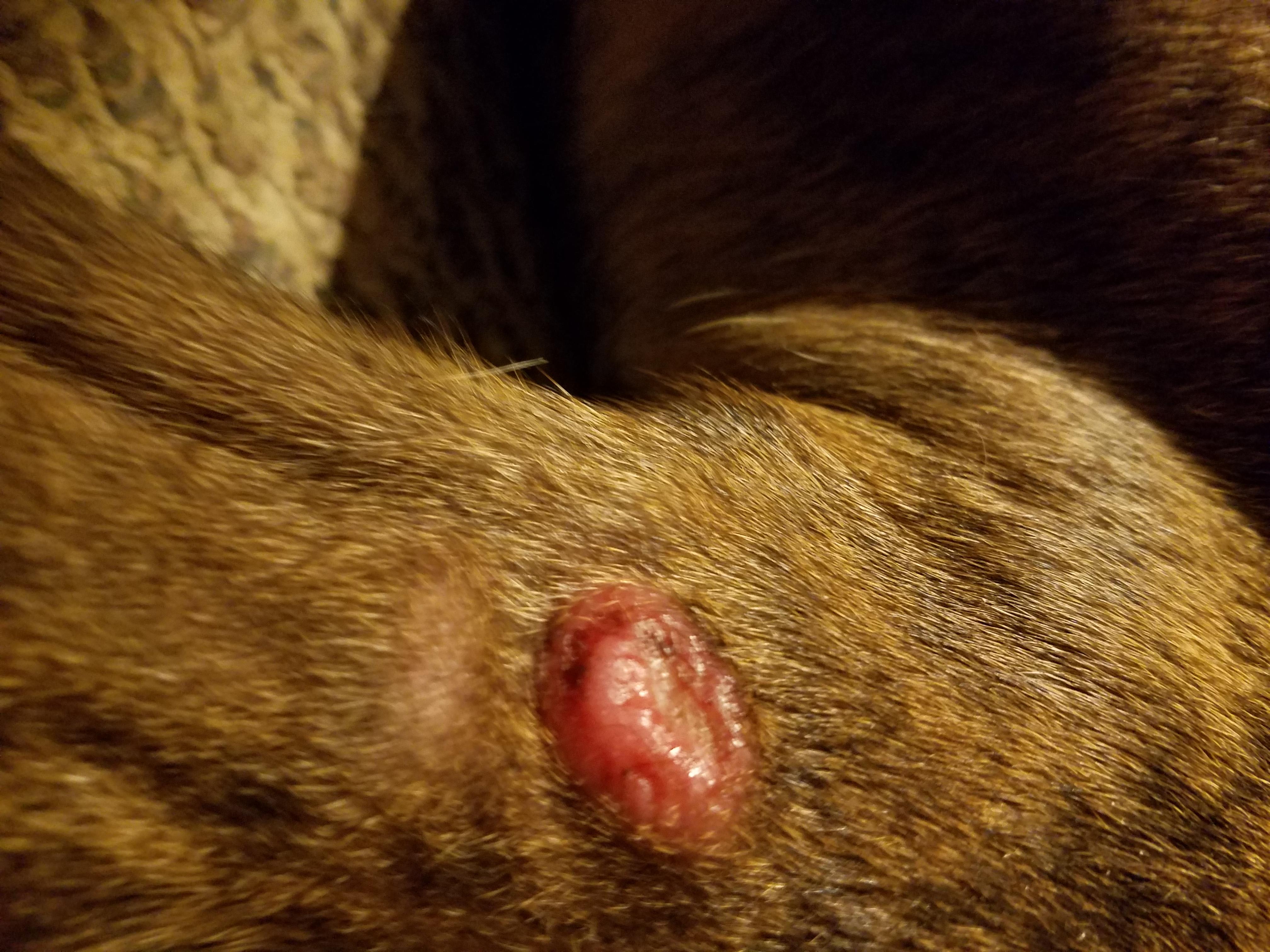 Question details sensitive content