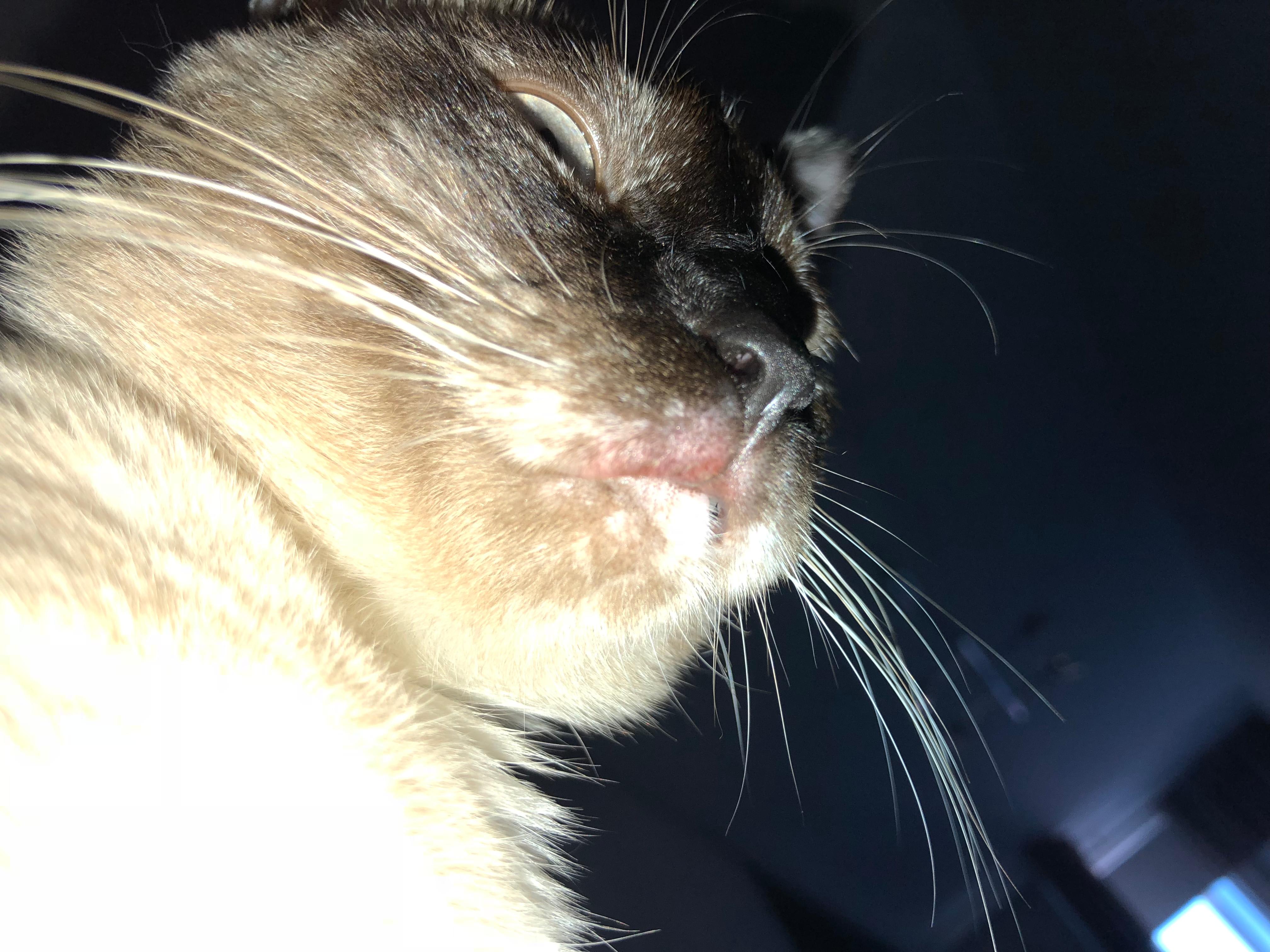 Question details sensitive content