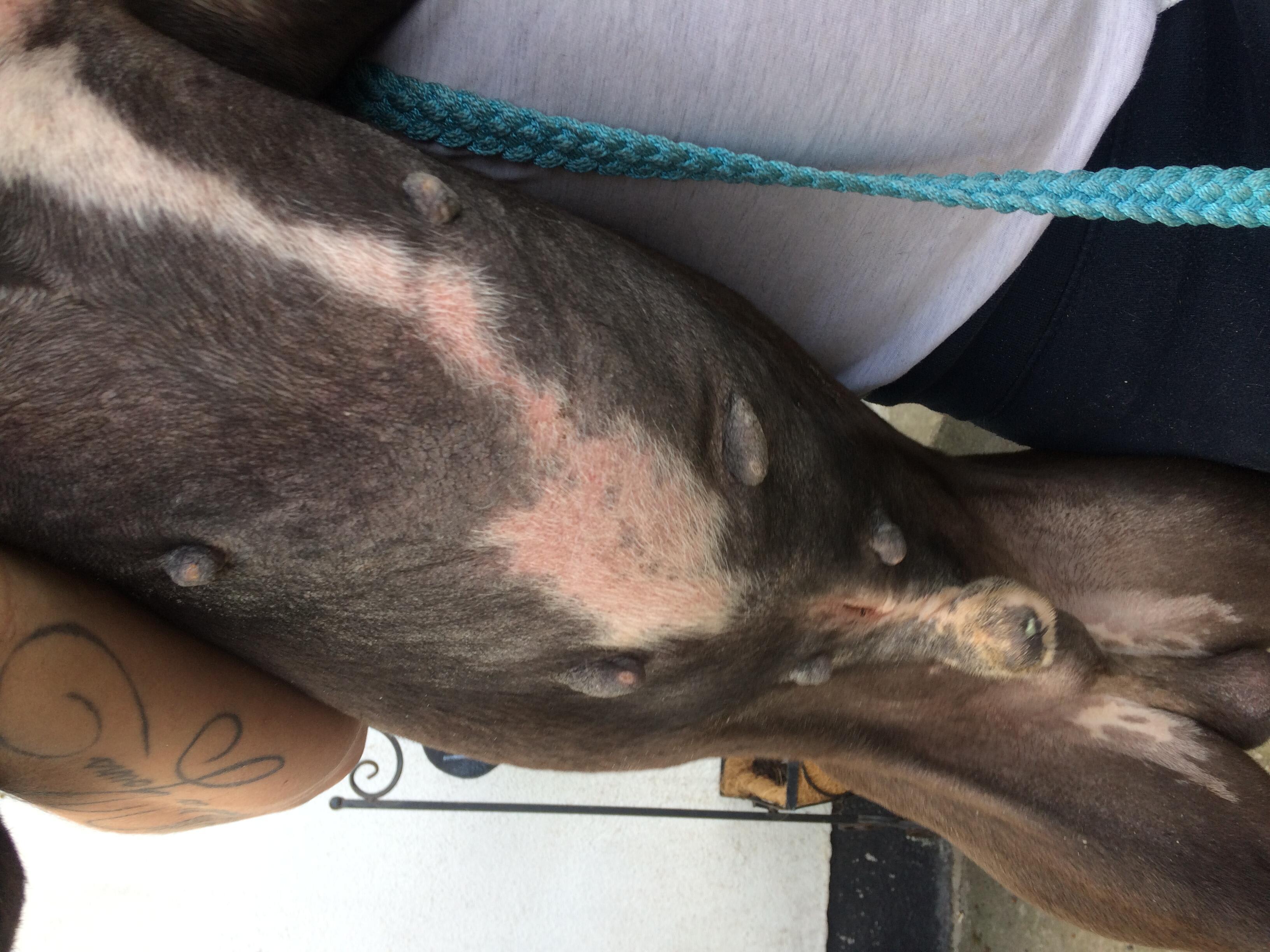 Question details sensitive content