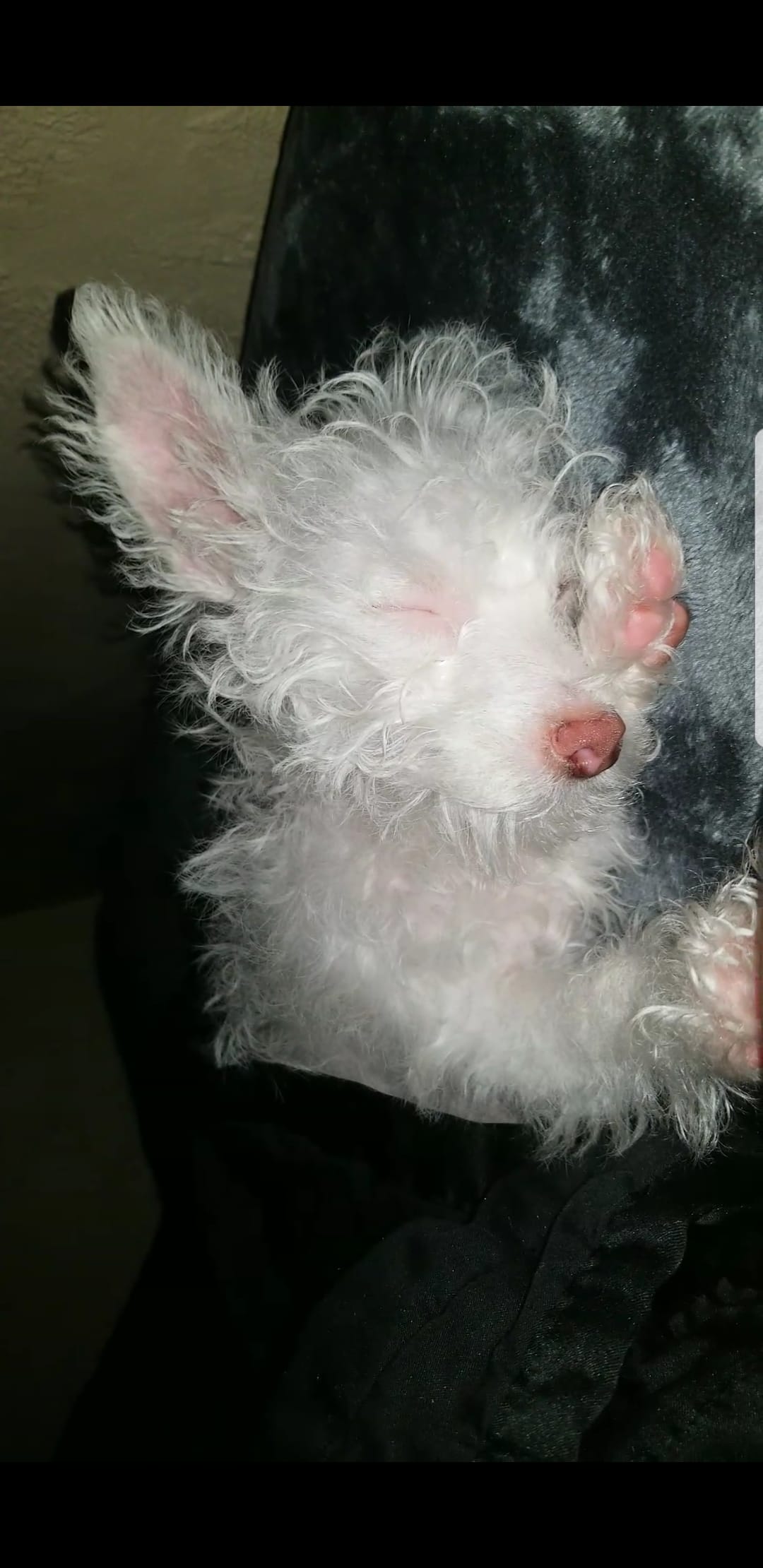 Question details sensitive content