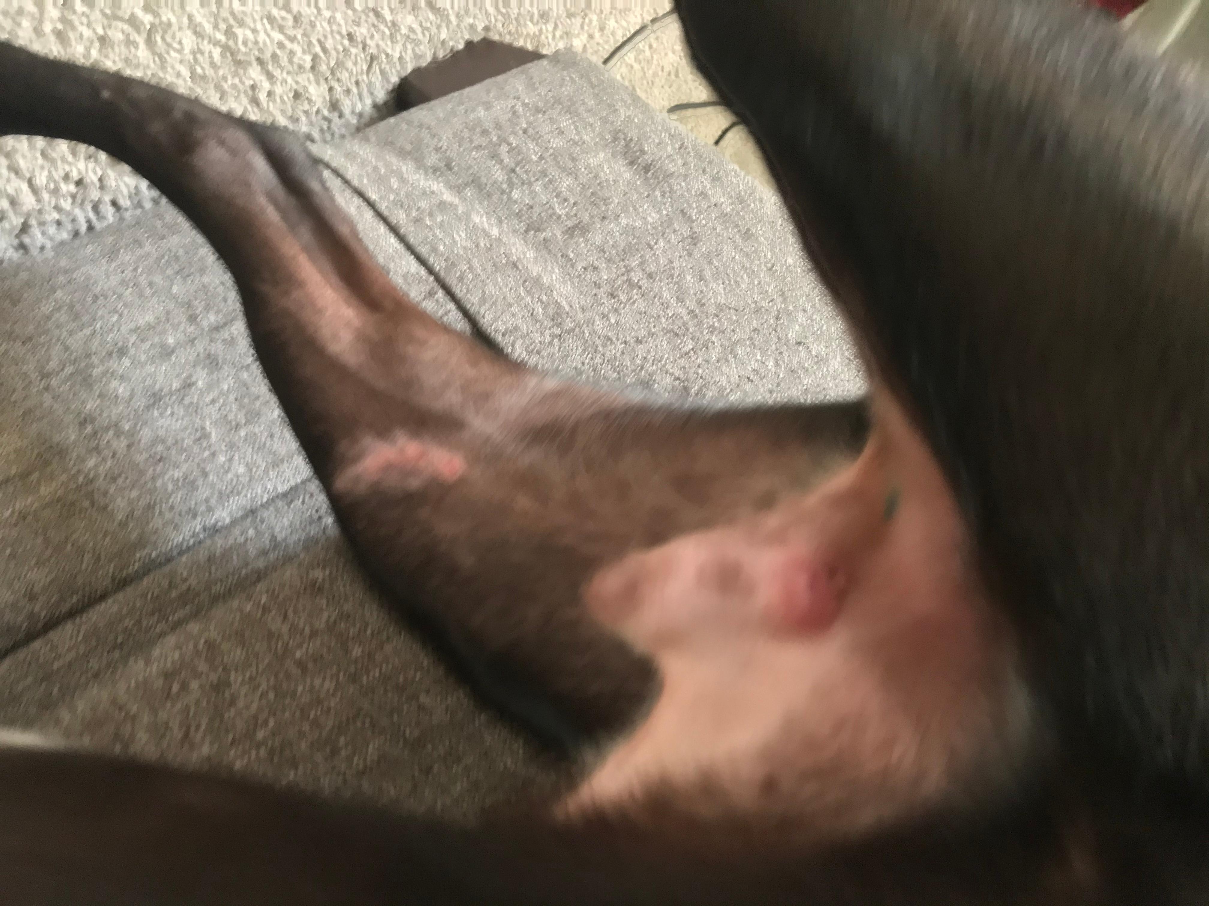 Question details sensitive content