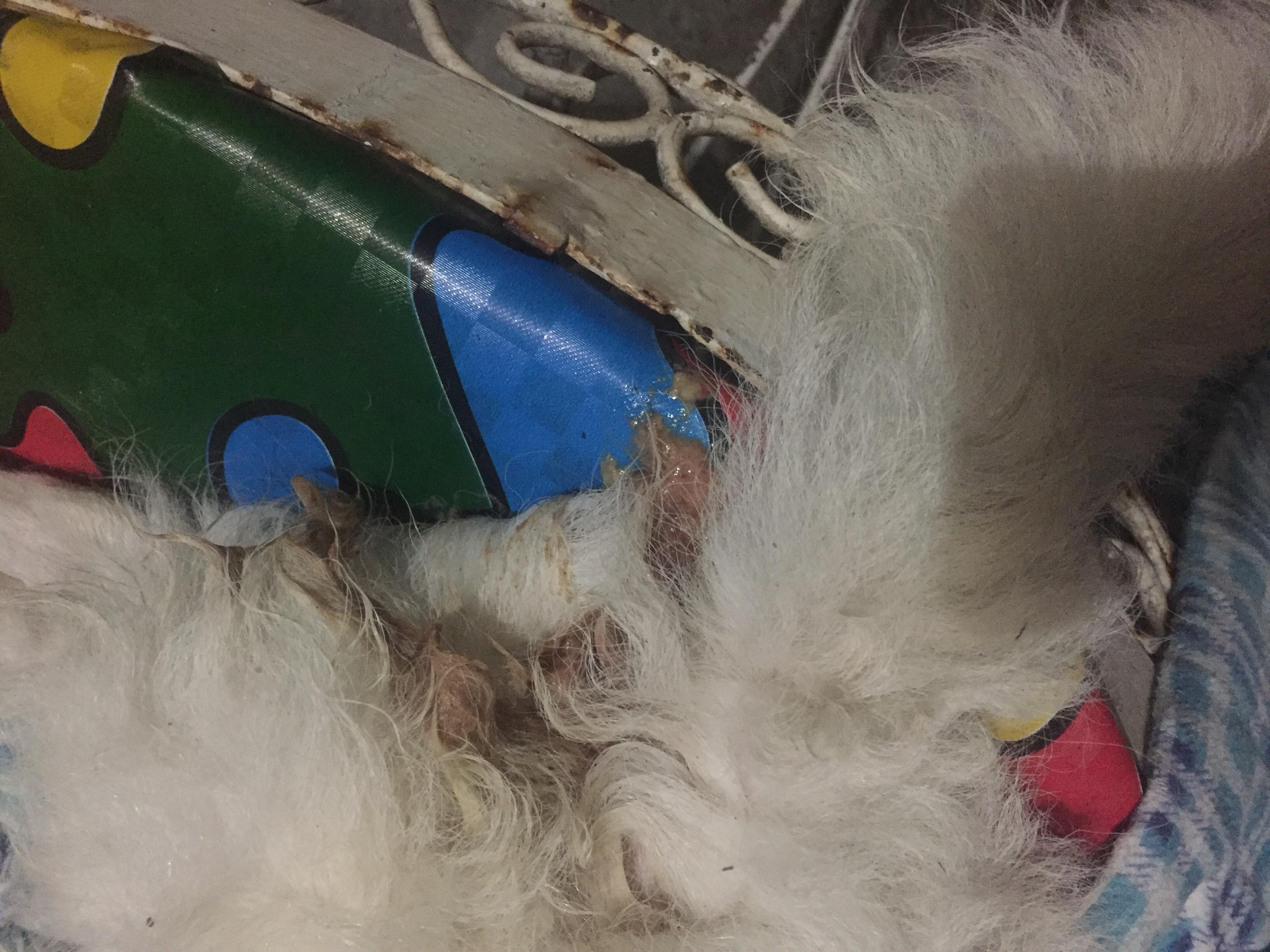 Question details sensitive content