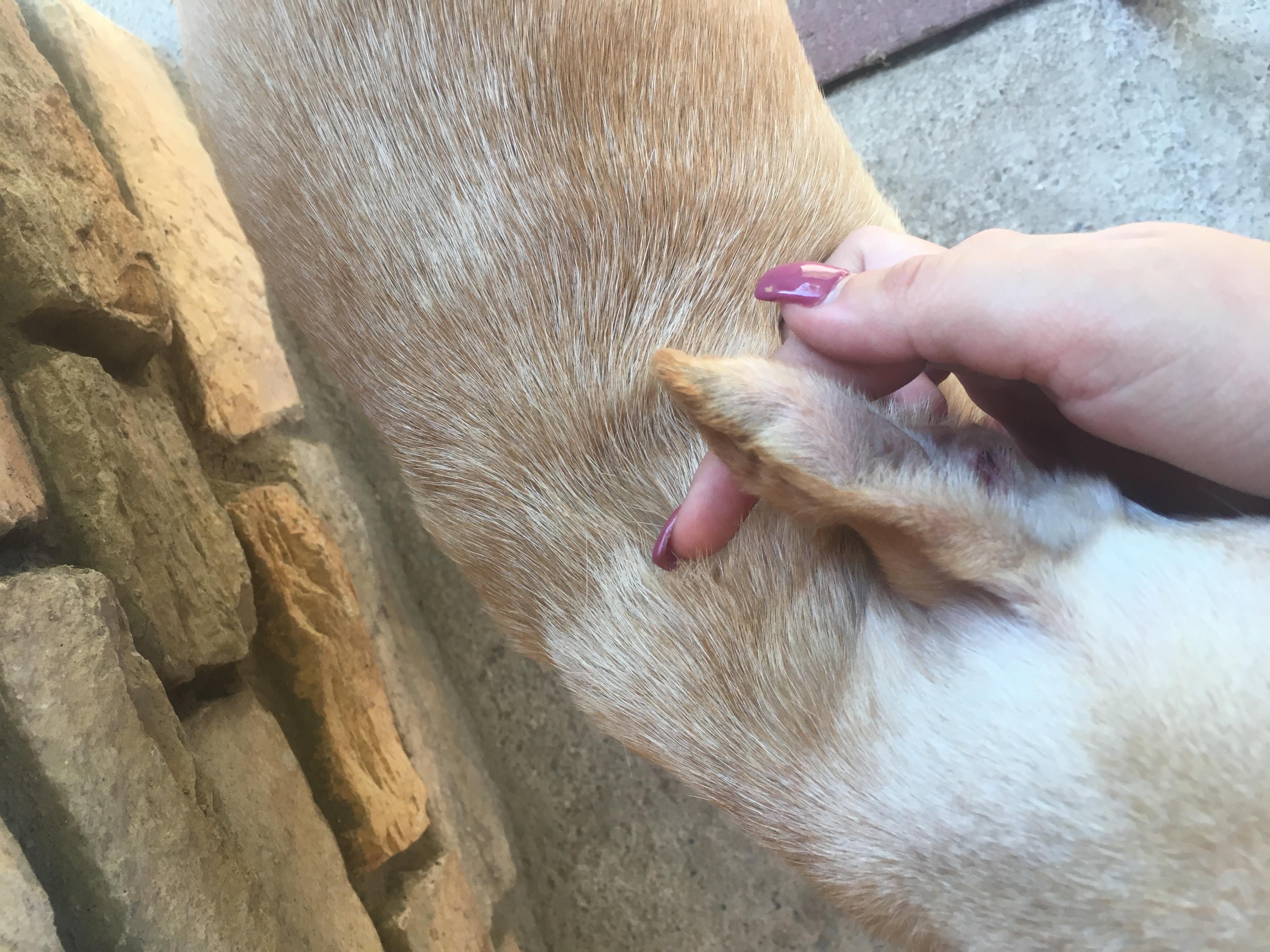 Question details sensitive content