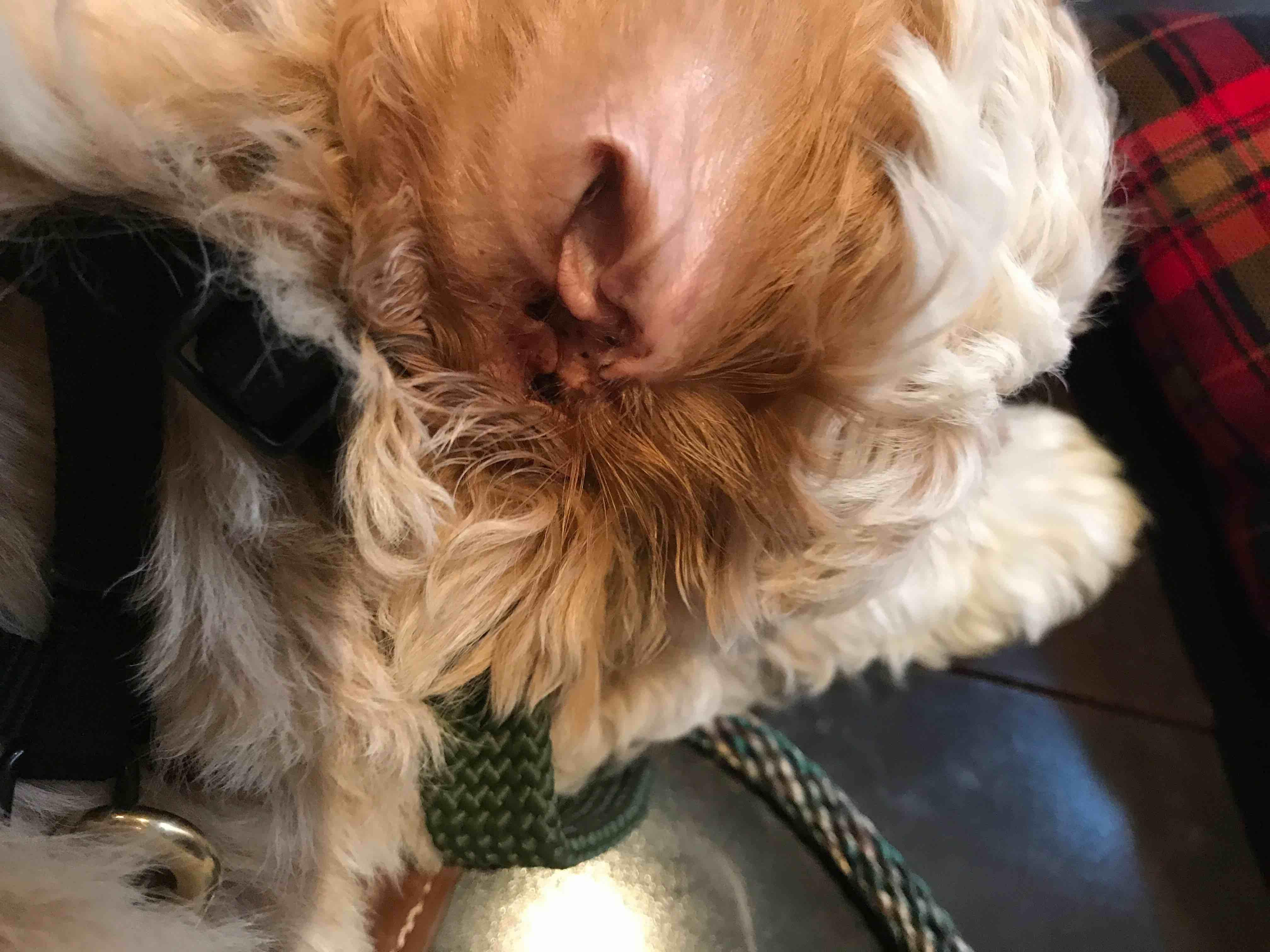 Question details sensitive content