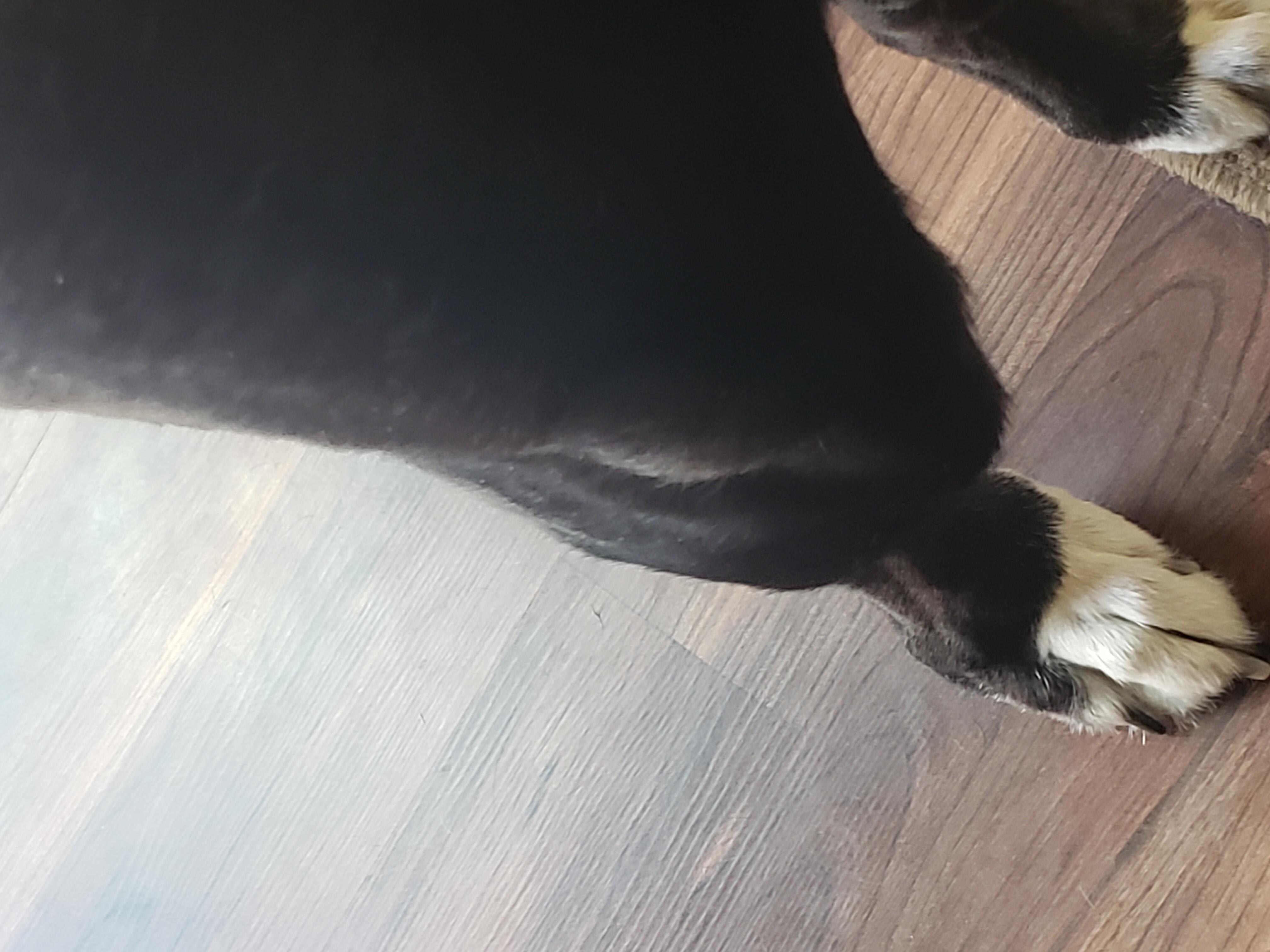 Question details sensitive content