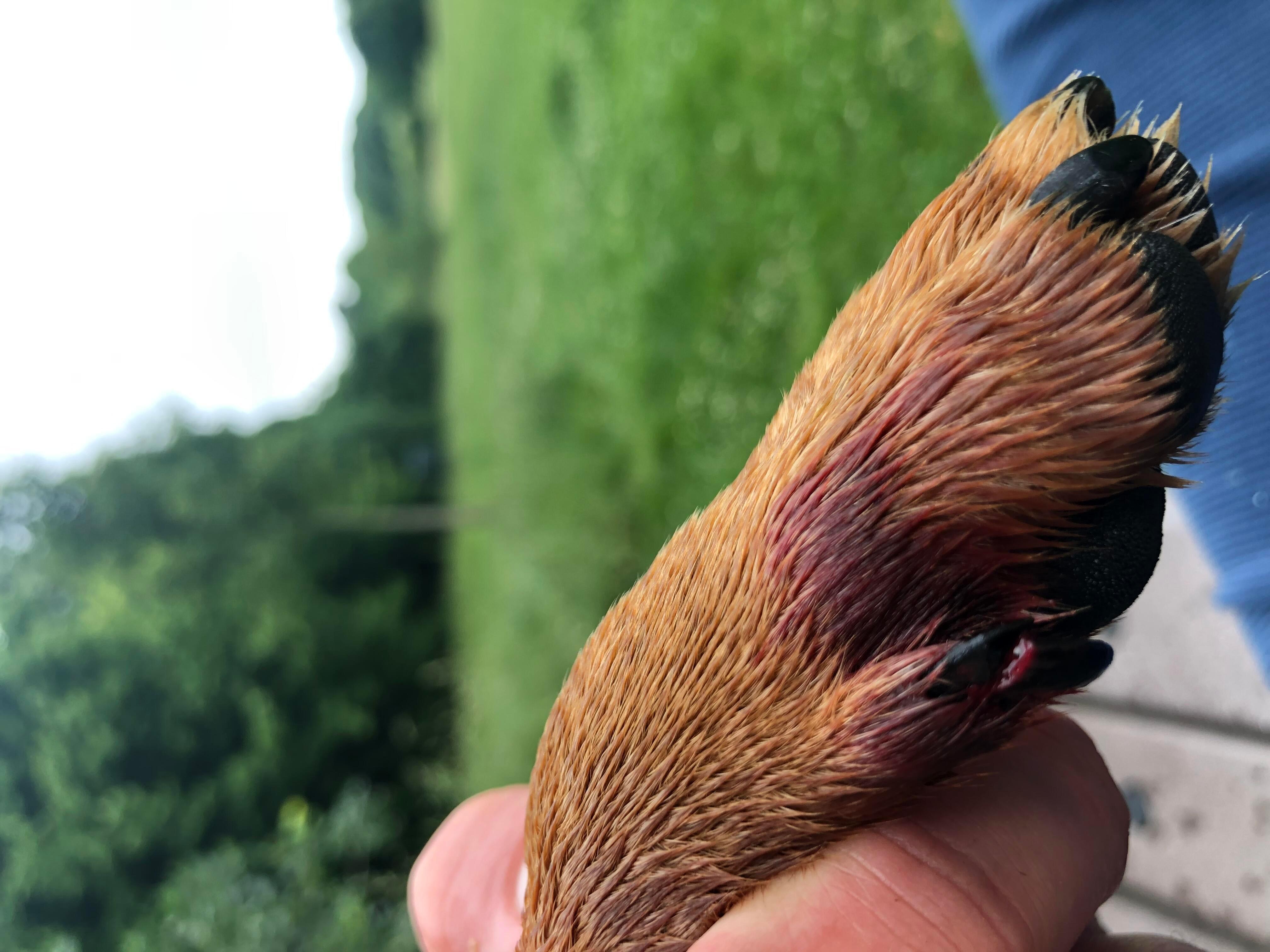 Question details sensitive content