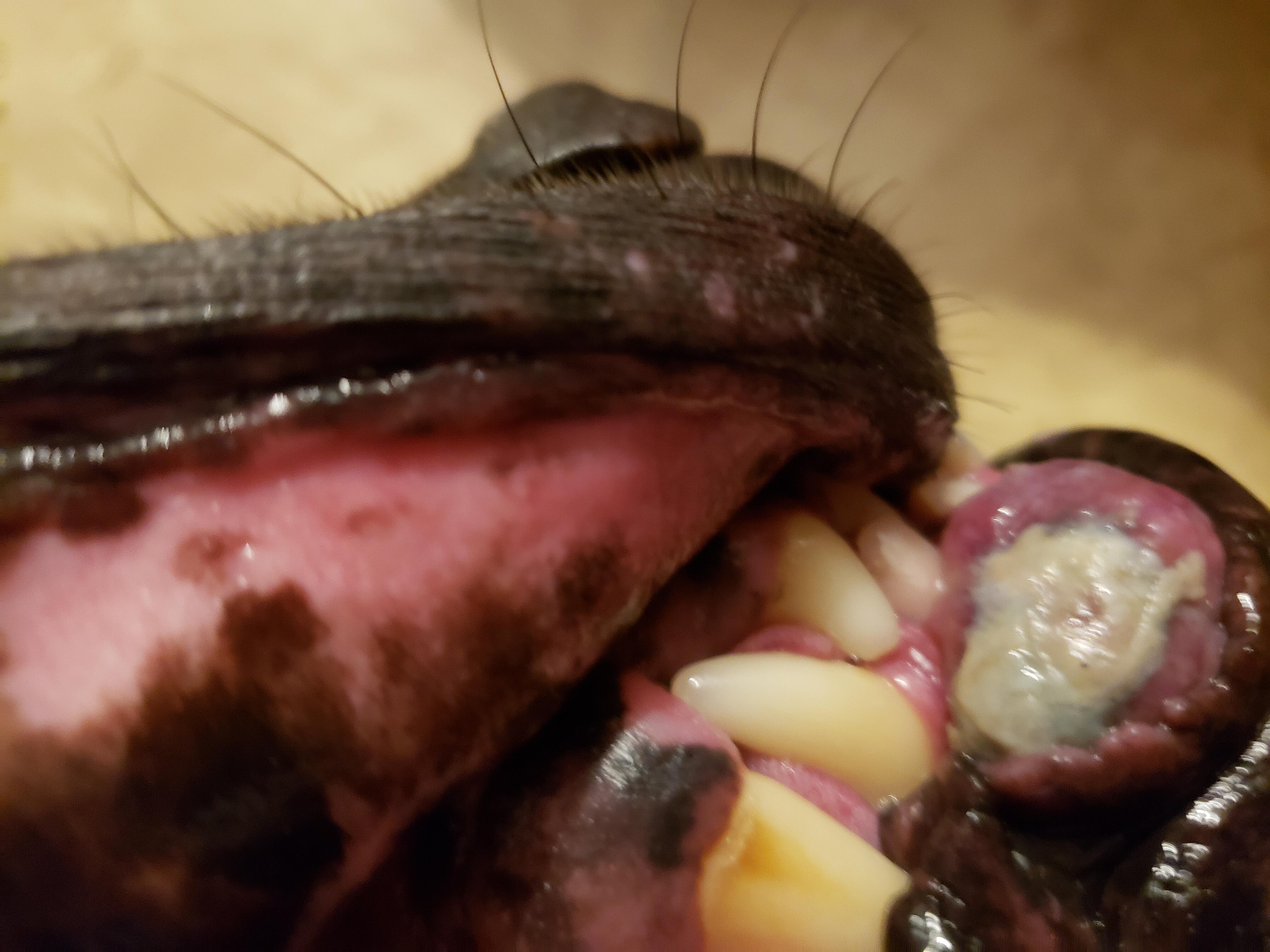 Question details sensitive content