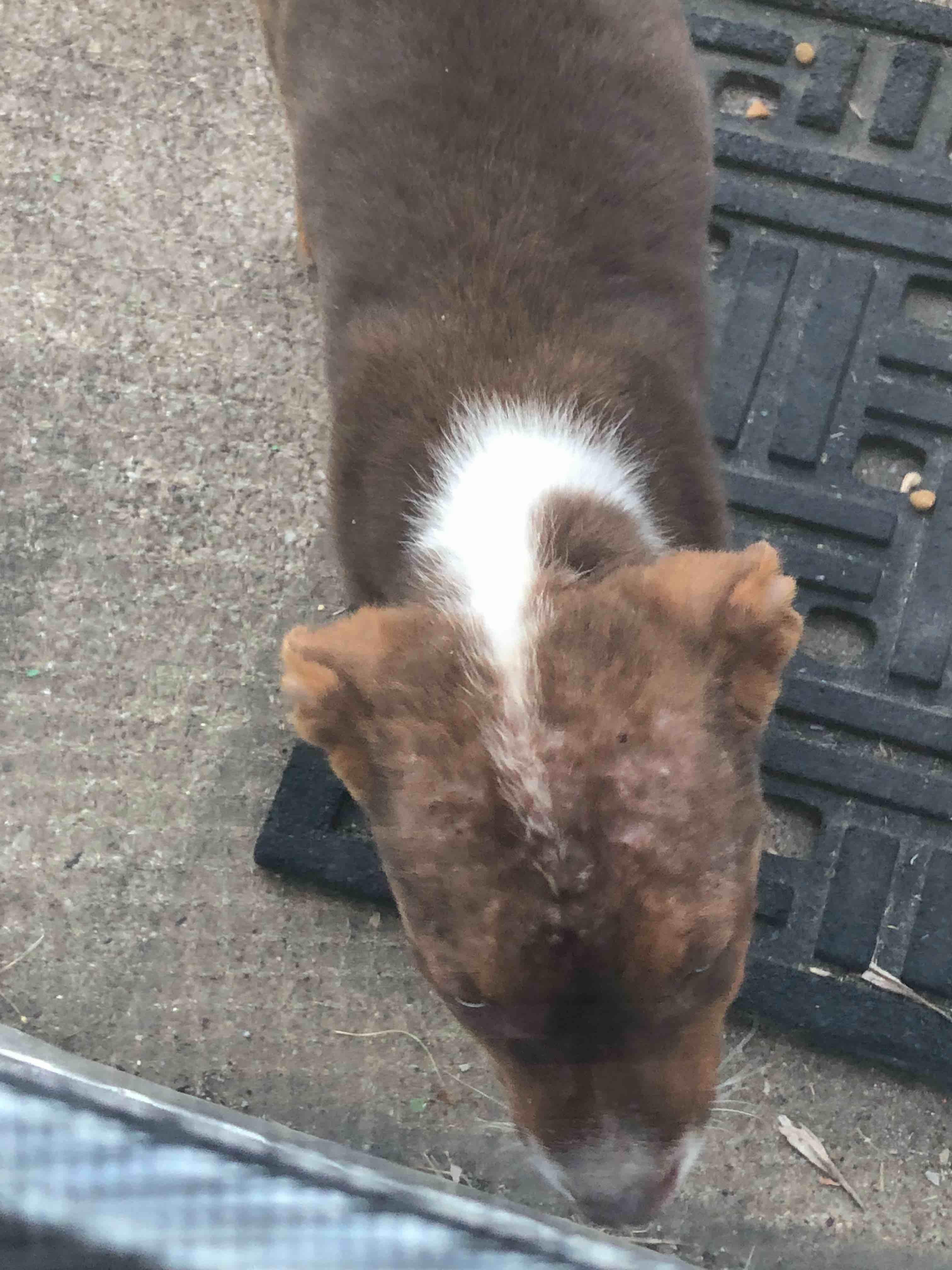 Question details sensitive content