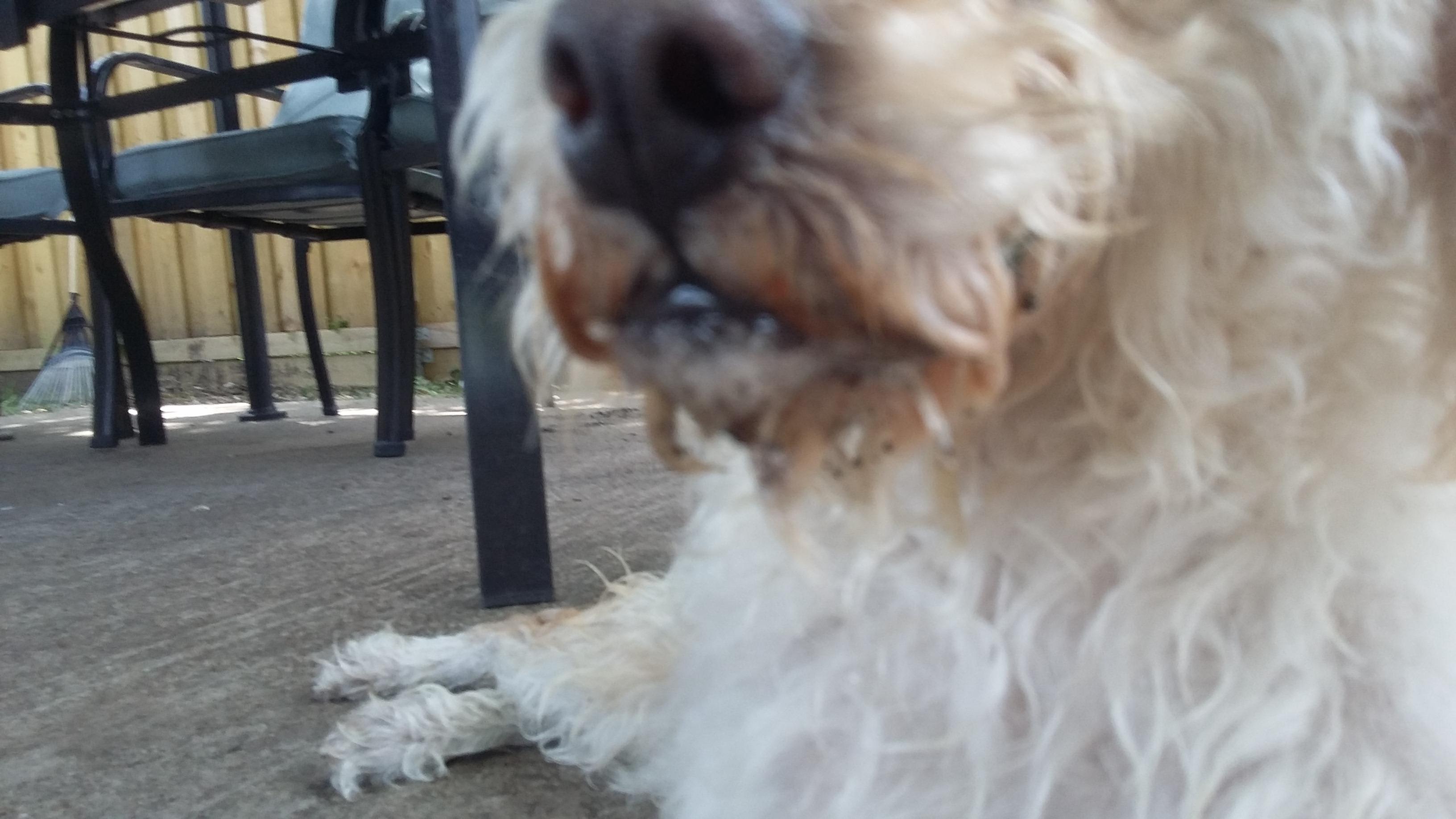 Question details sensitive content