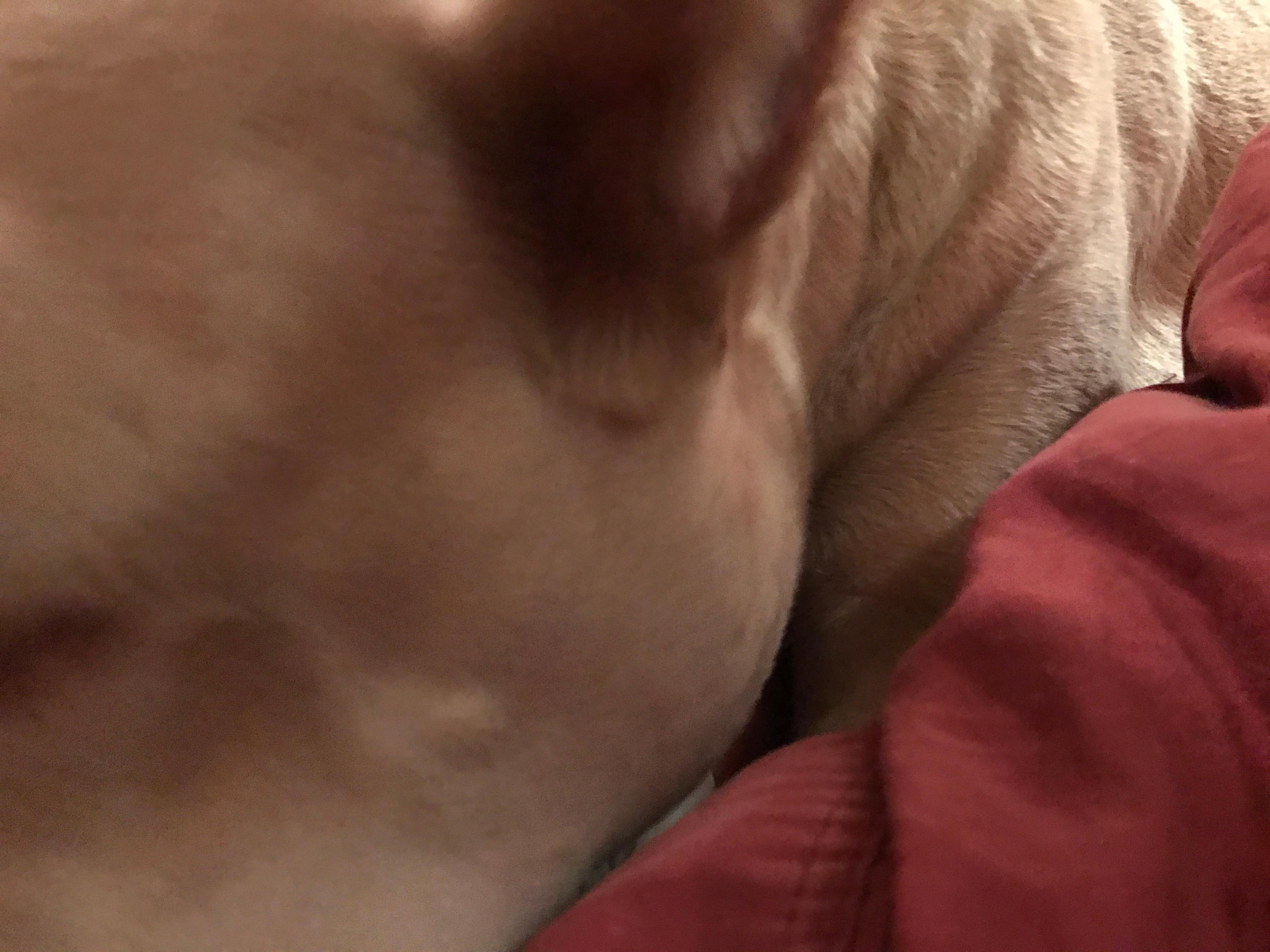 Question details sensitive content