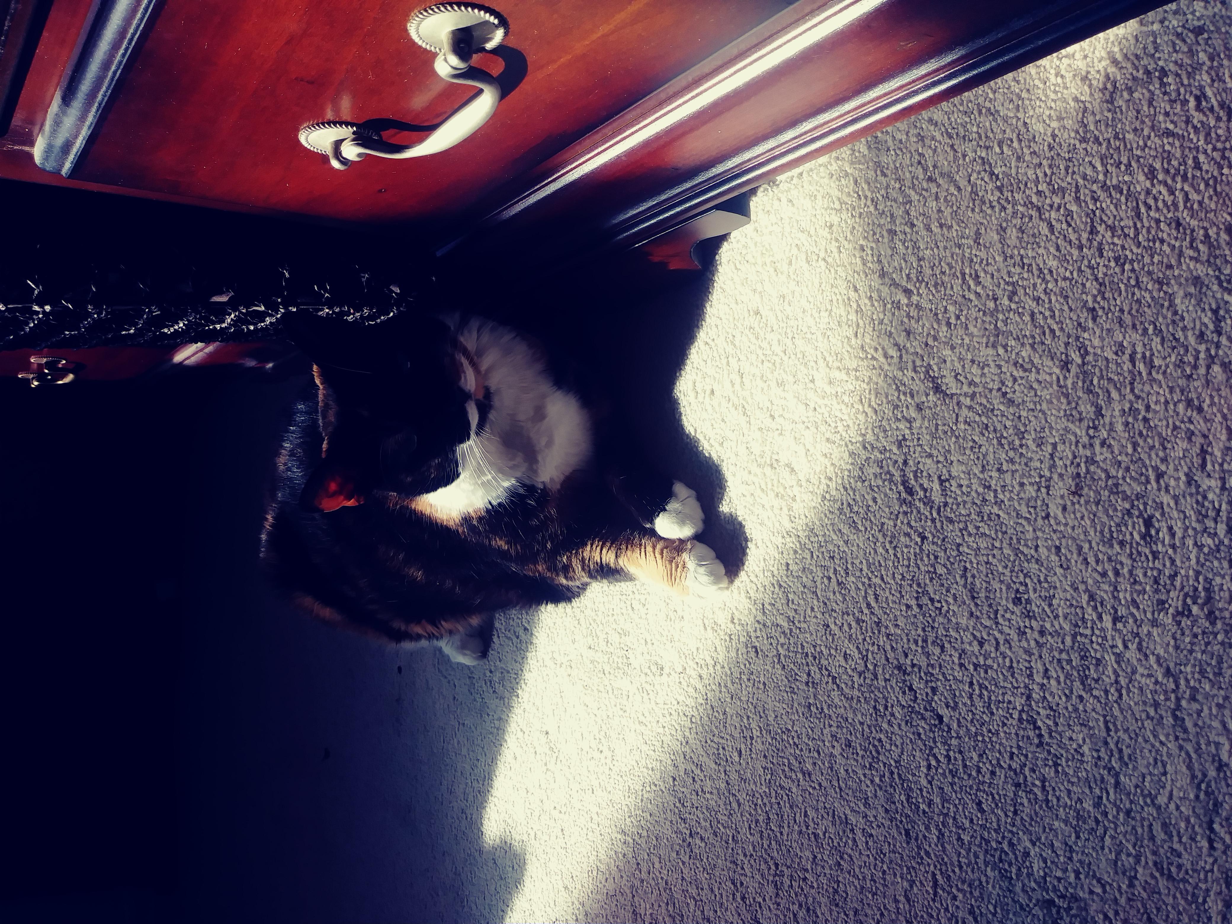 Question details sensitive content