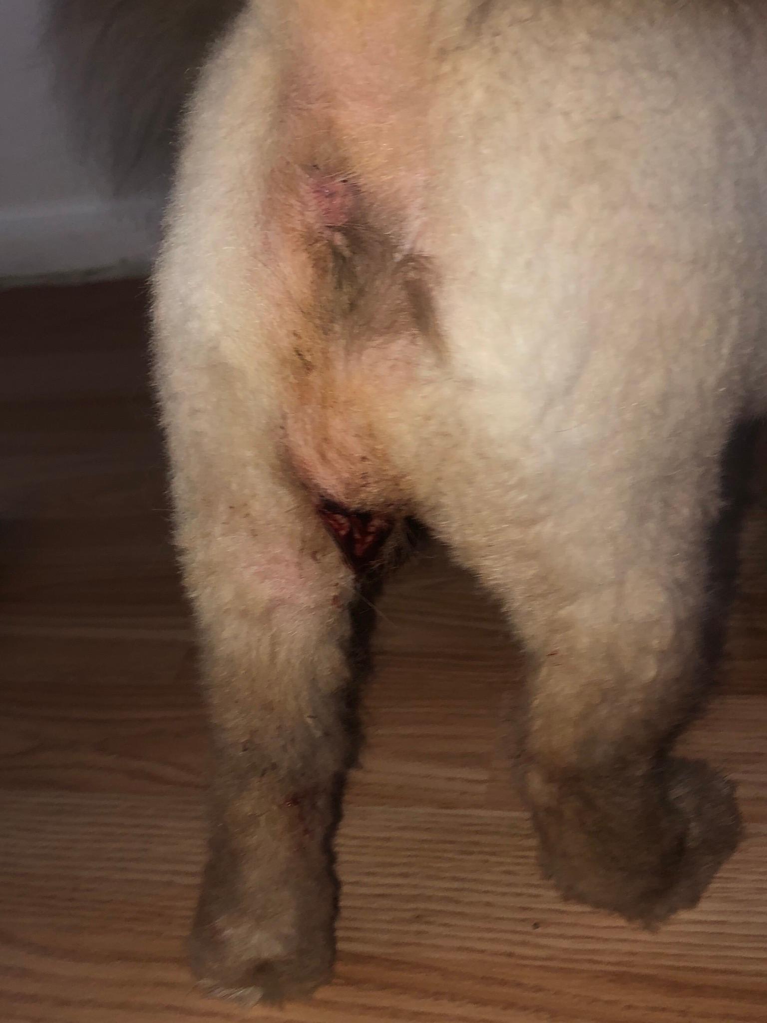 Question details sensitive content