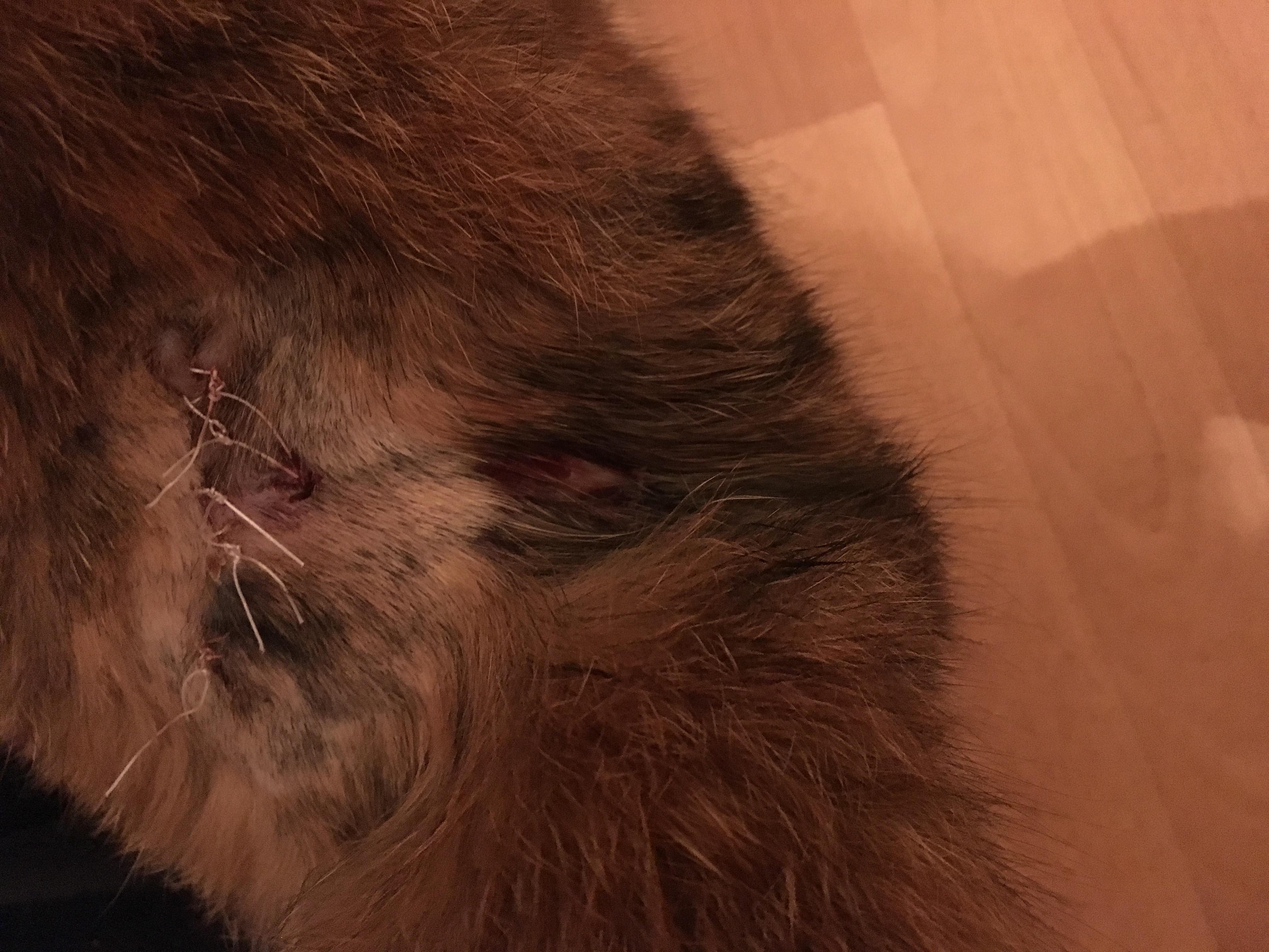 Question details sensitive content