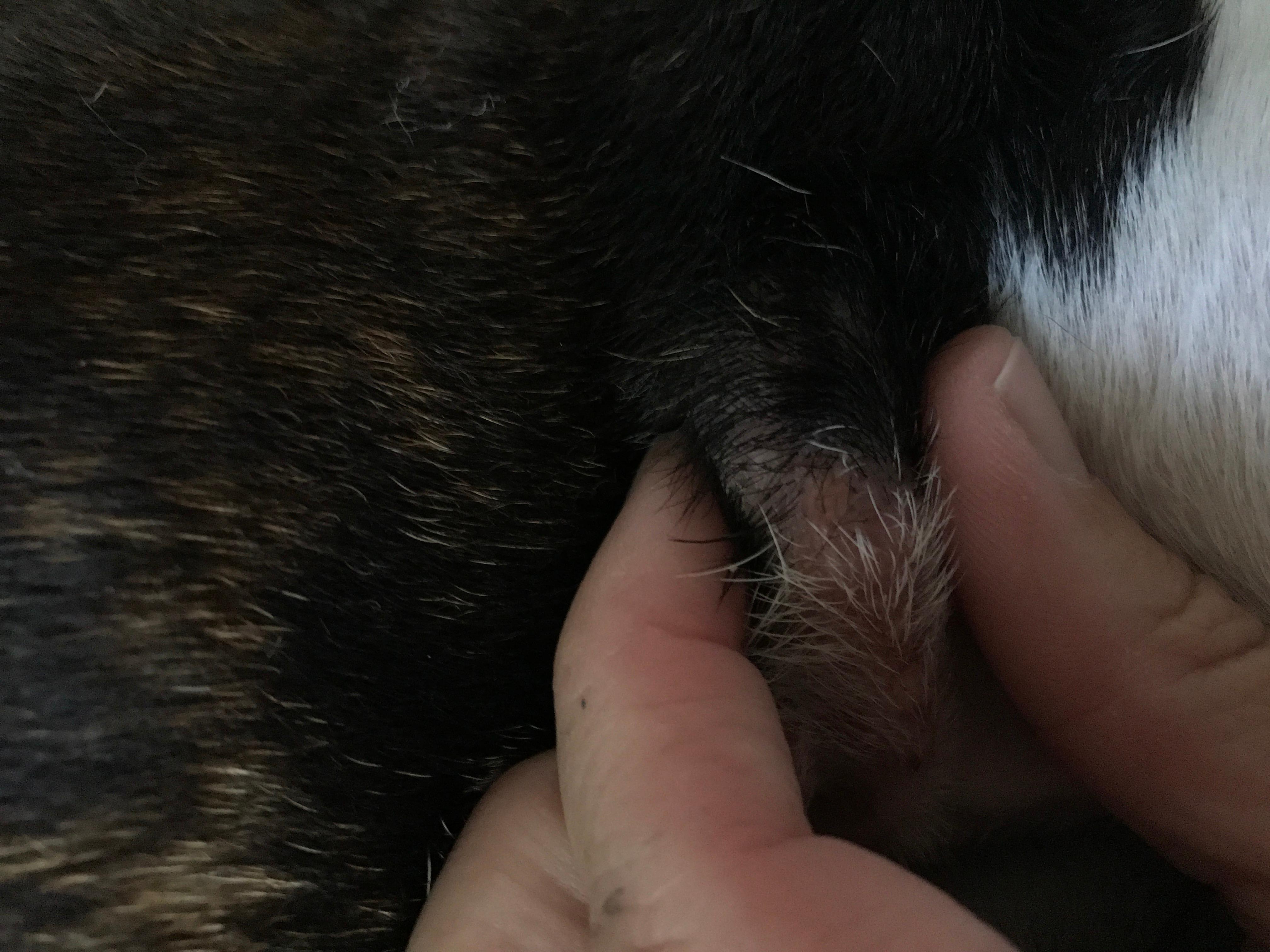 Question details sensitive content