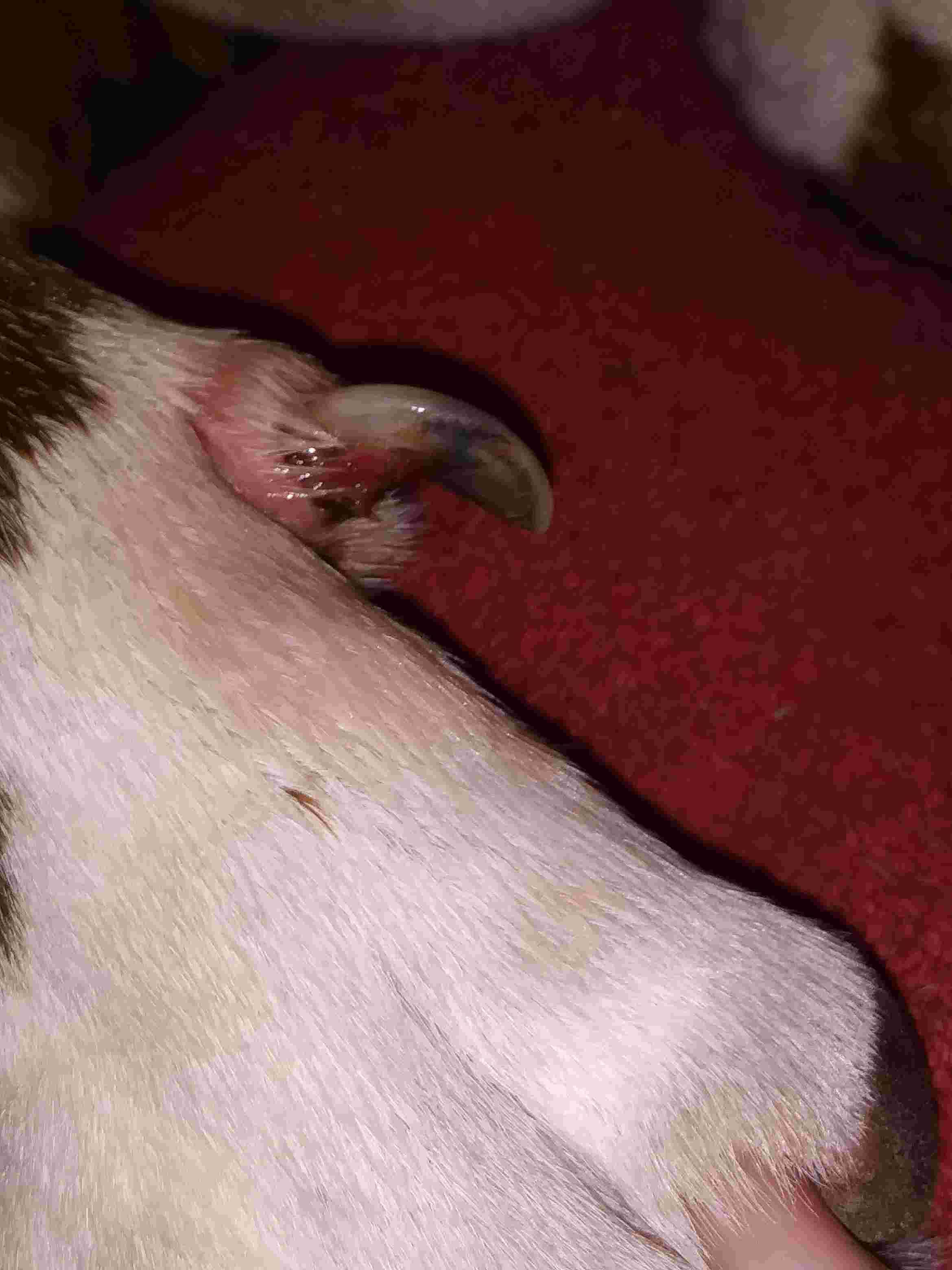 Question details sensitive content