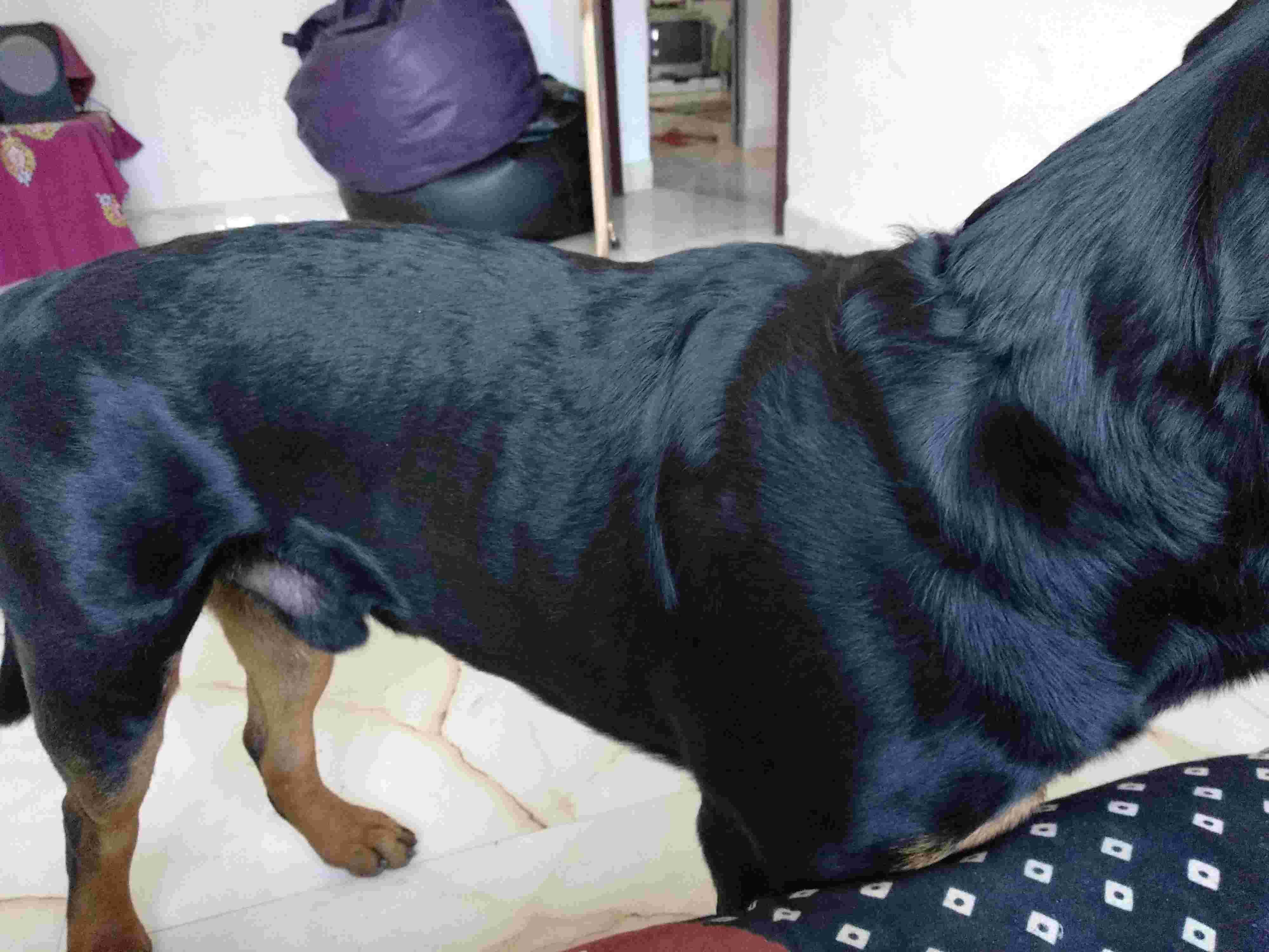 Question details sensitive content