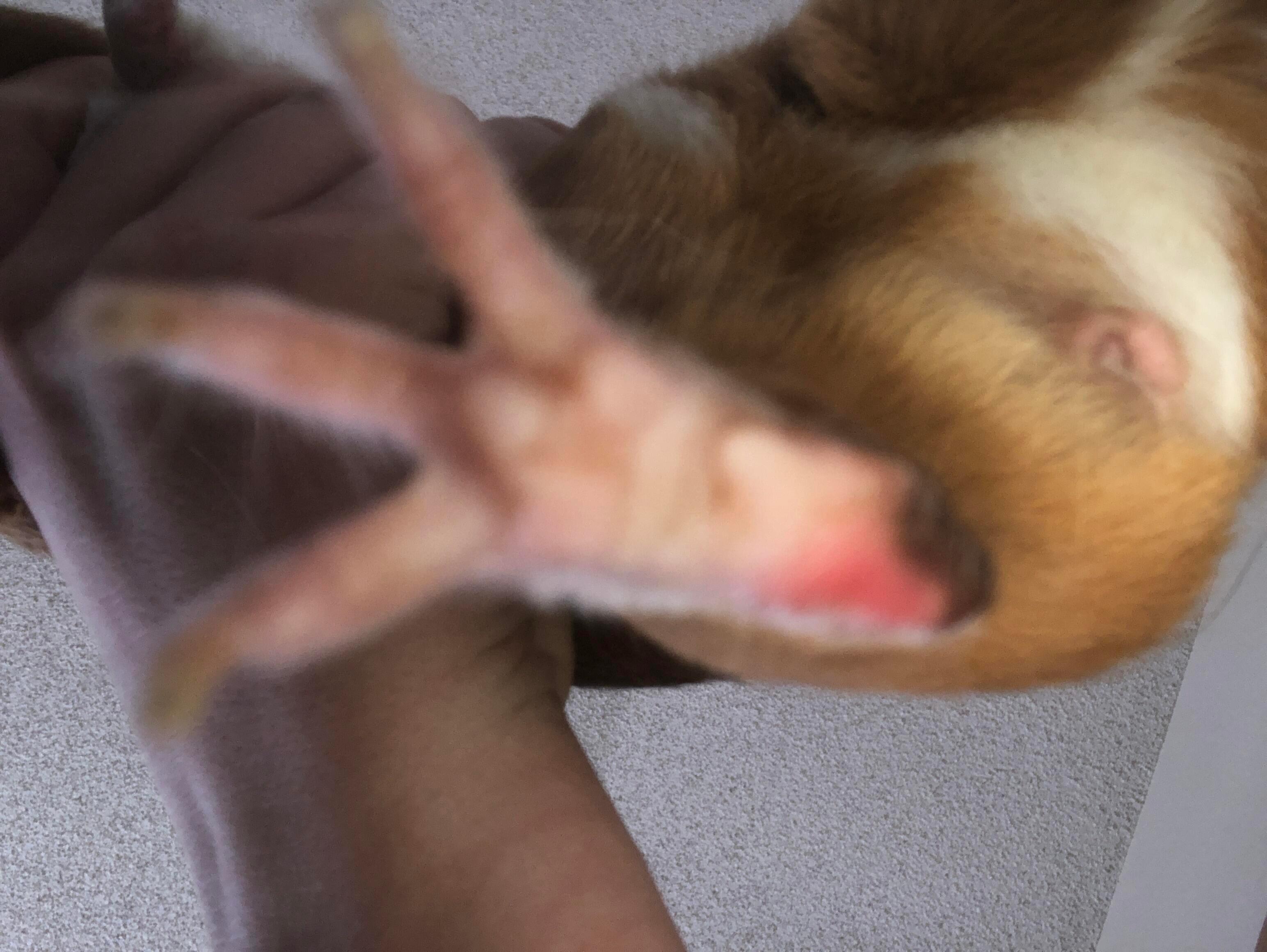 Question details sensitive content