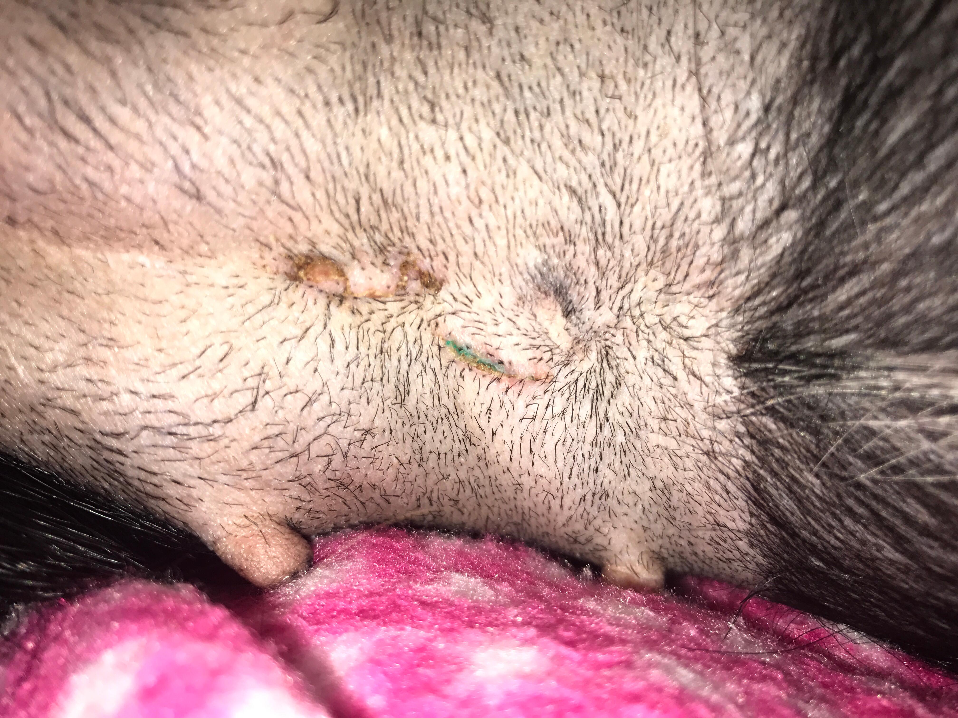 Question details sensitive content