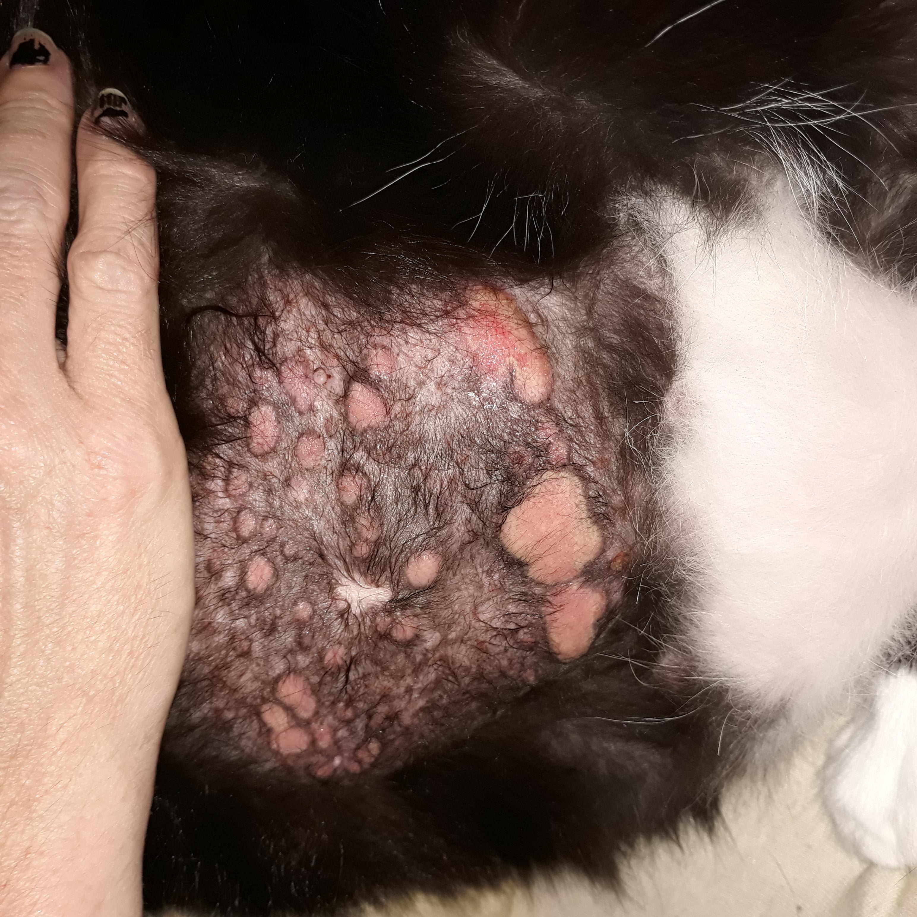 Question details sensitive content