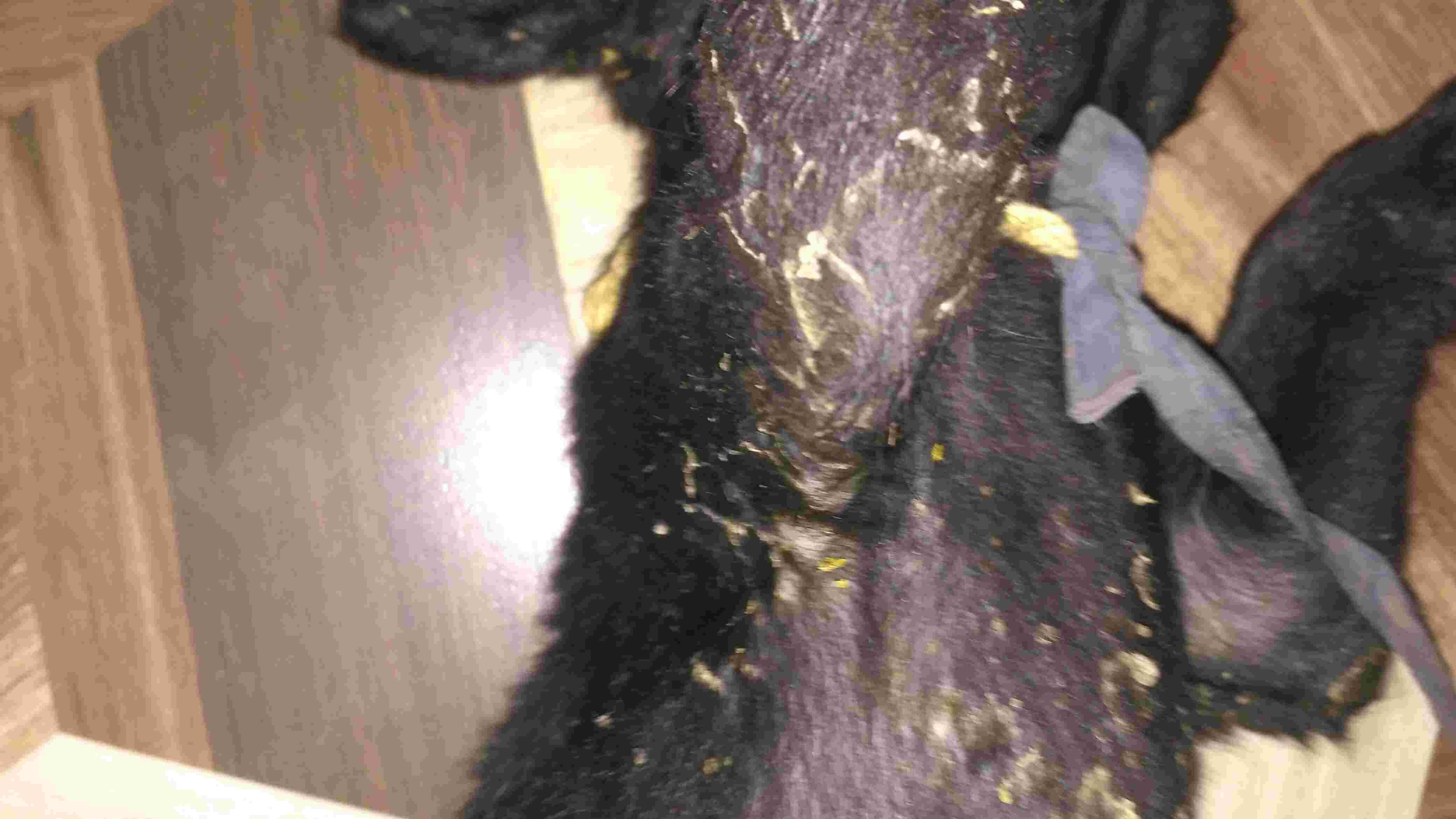 Question details sensitive content