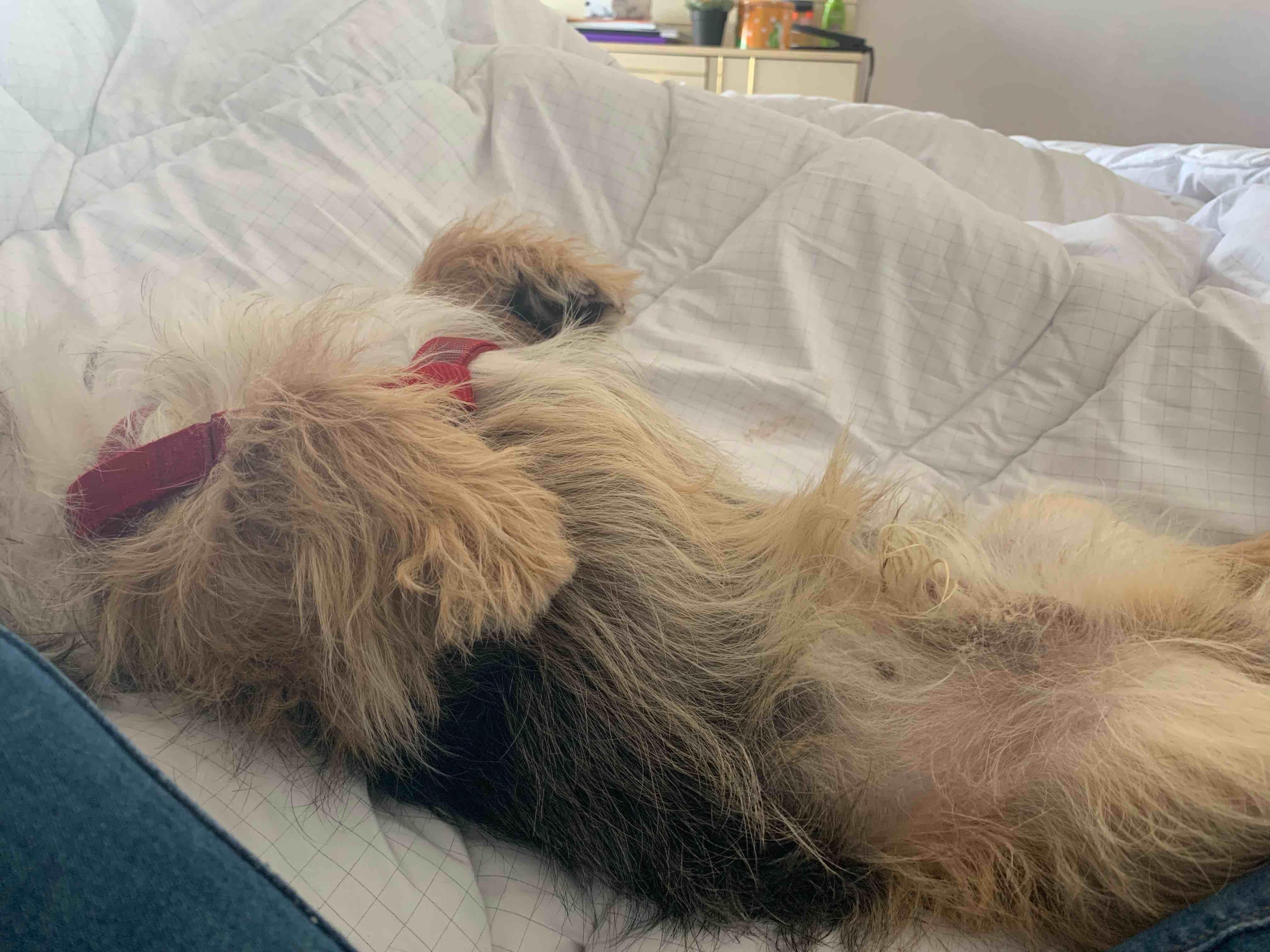 Question details sensitive content